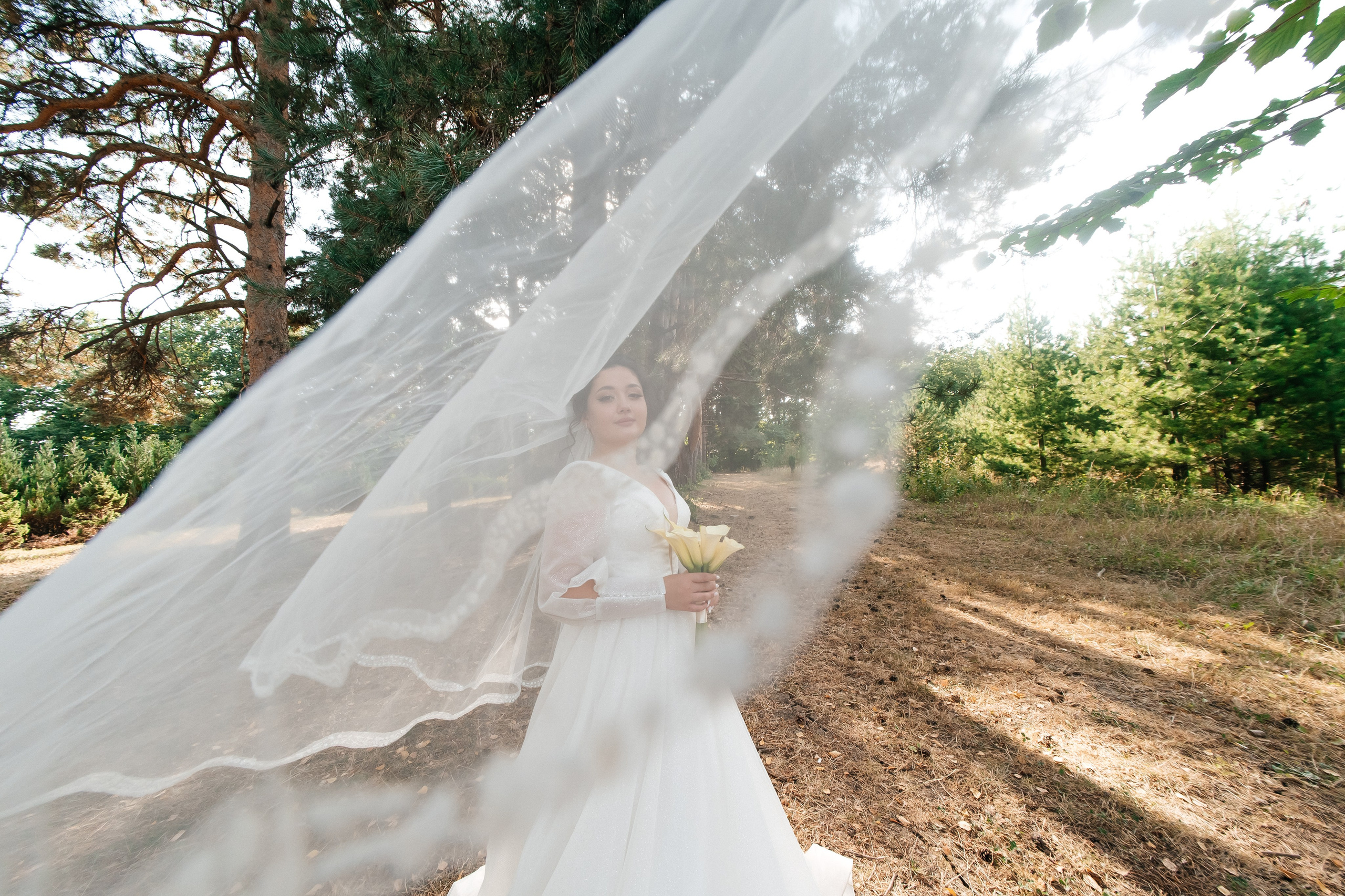 Александр и Карина. Свадебный фотограф и видеограф Жанна и Ренат Костандян, Ставрополь