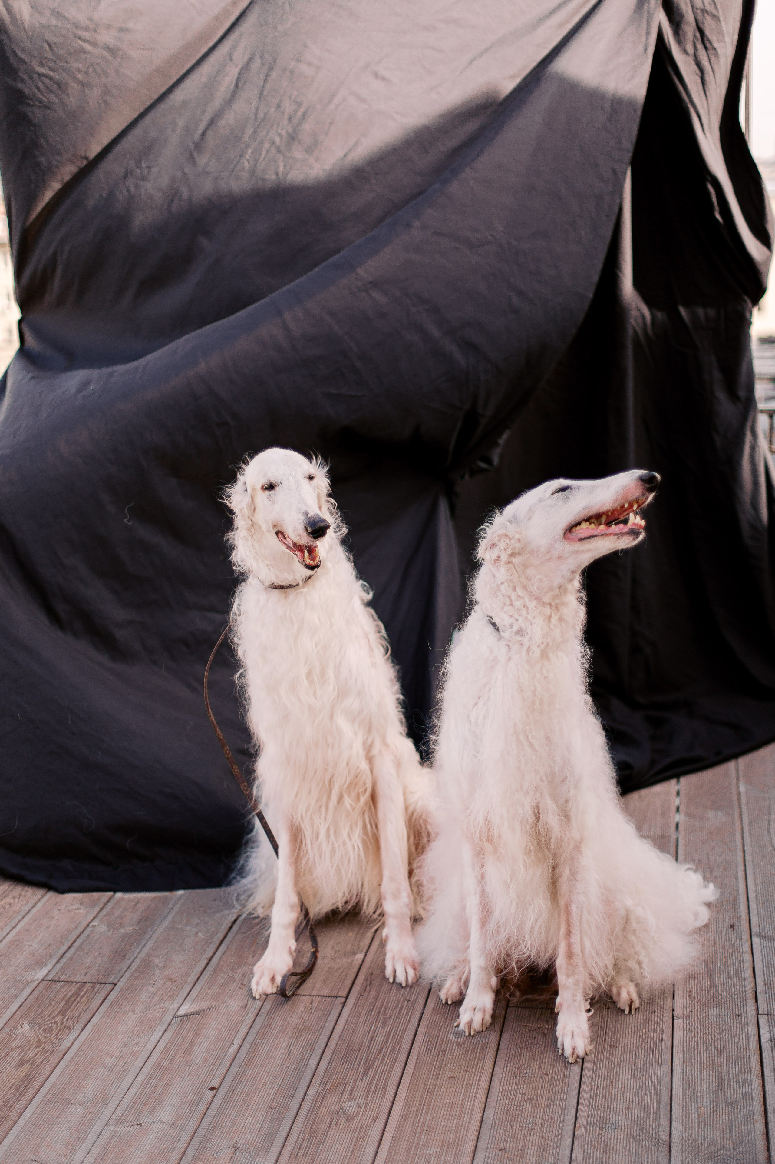 Стильное утро невесты, свадебный фотограф Москва, студия лофт