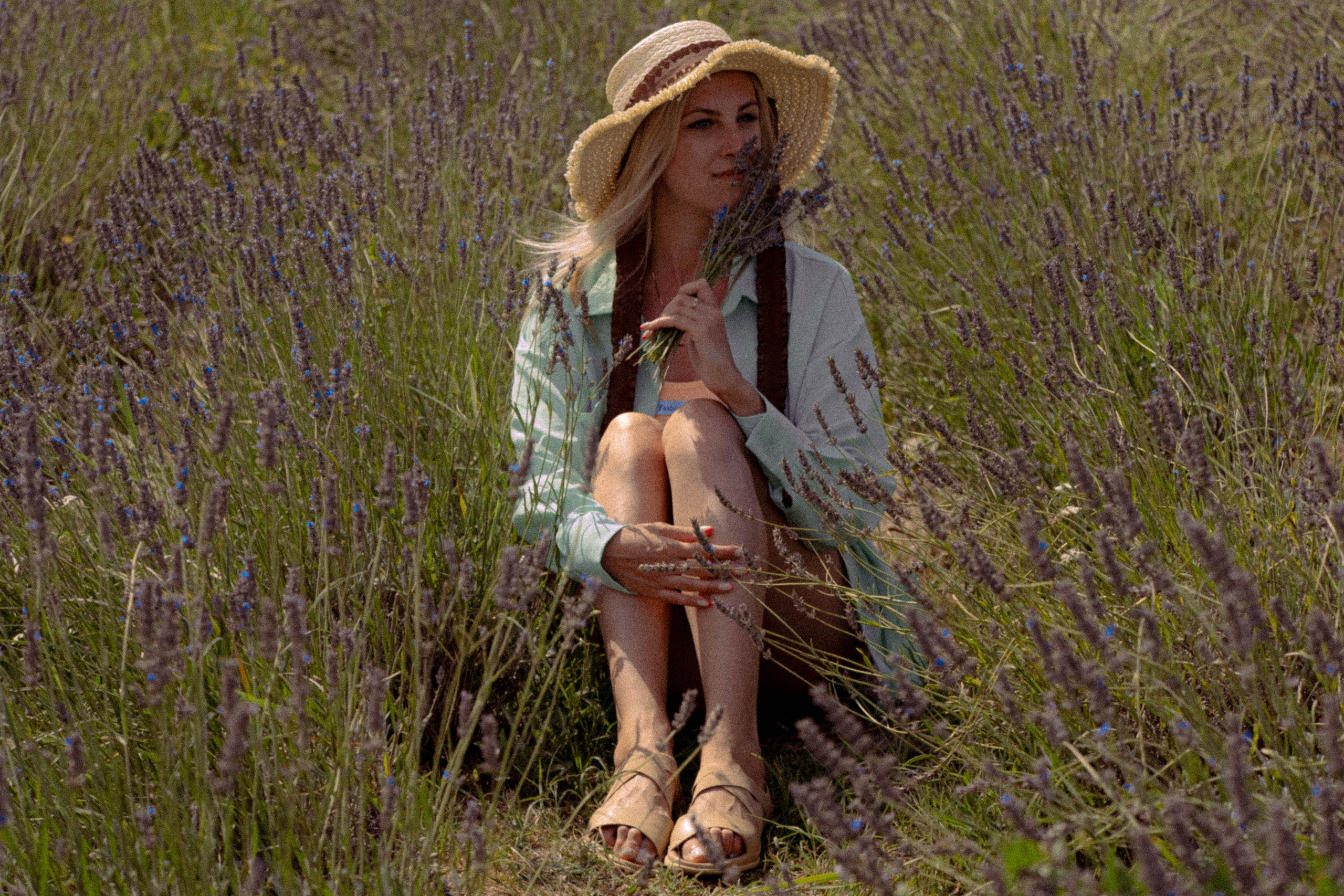 ЛАВАНВОДОВОЕ ПОЛЕ. Профессиональный фотограф, Санкт-Петербург — Виктория Богомолова