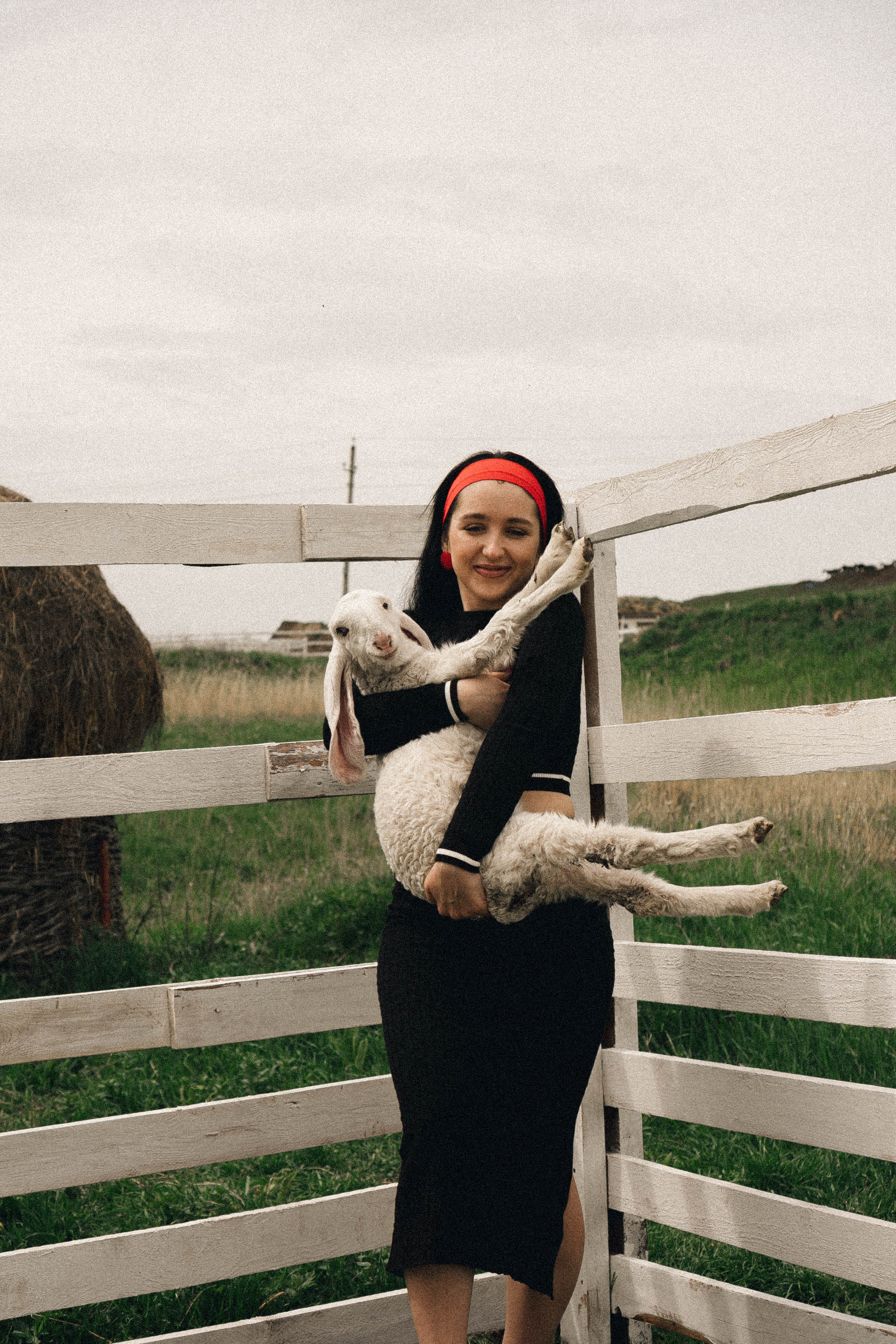 Ферма Альпак. Профессиональный фотограф, Санкт-Петербург — Виктория Богомолова