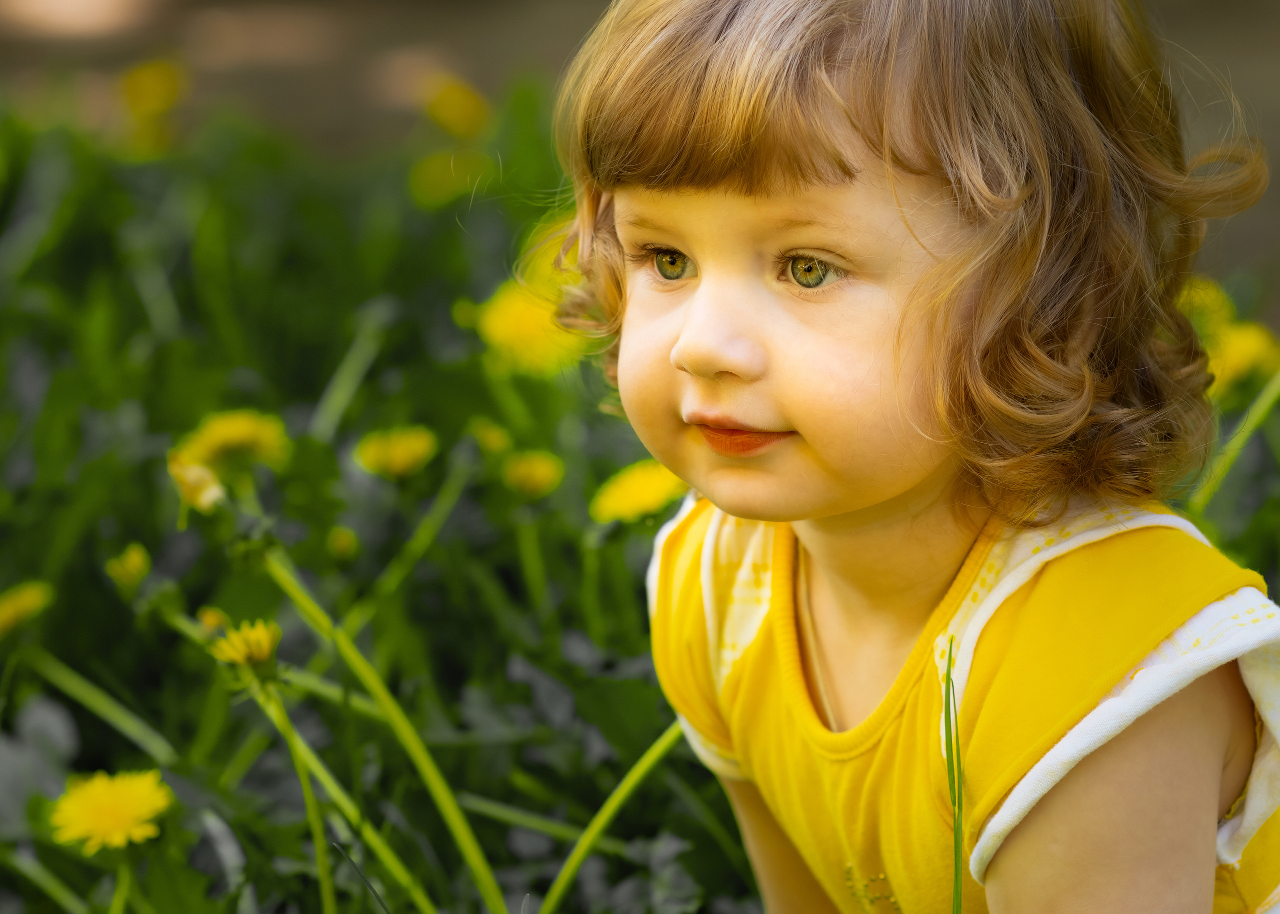 девочка в желтой майке сидит на траве среди желтых цветов одуванчика
