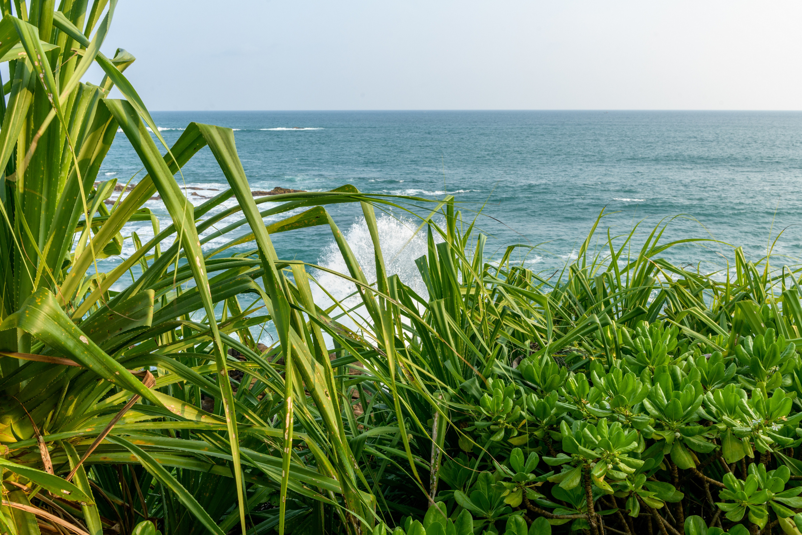 Контакты. Предметный и семейный фотограф в Балашихе Владимир Скранжевский
