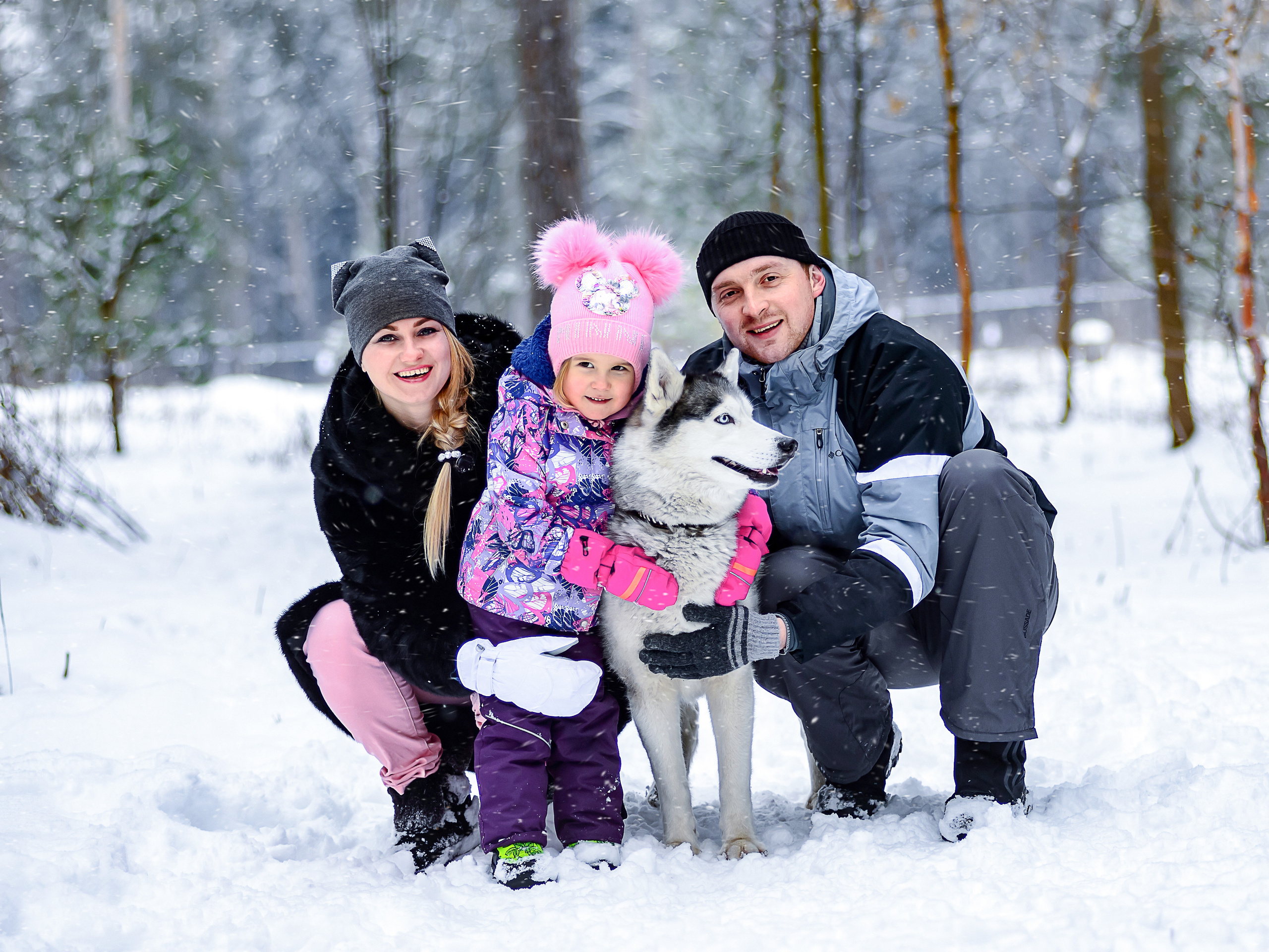 семья присела на корточки и в центре собака породы хаски