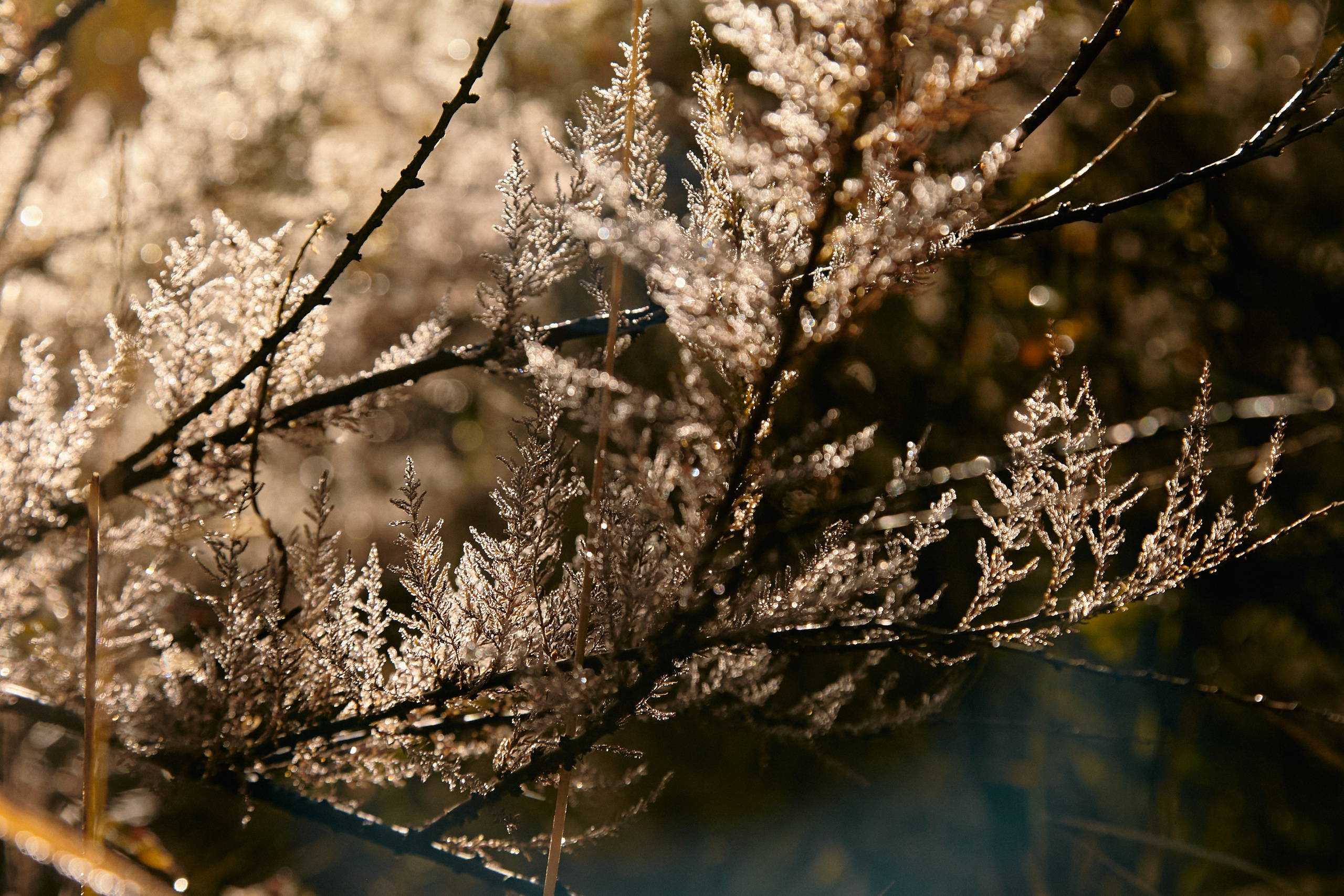 Чегем, дорога к леднику Шаурту. Фотограф Продюсер в горах КБР / Москва  Нальчик Горы