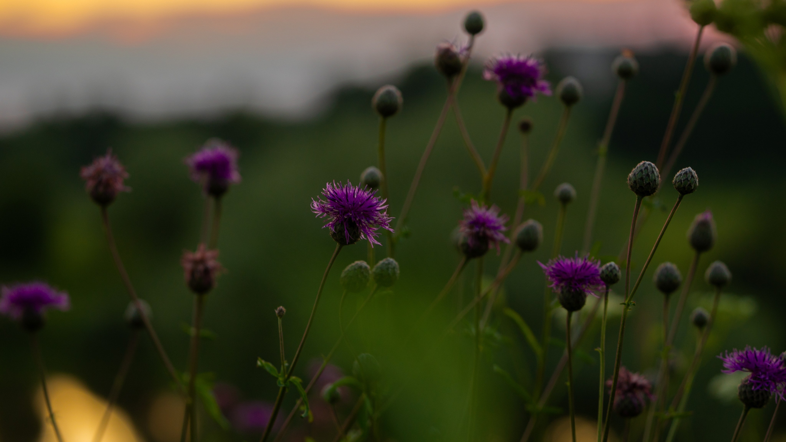 ATMOSPHERE. Фотограф Юрина Ксения Москва