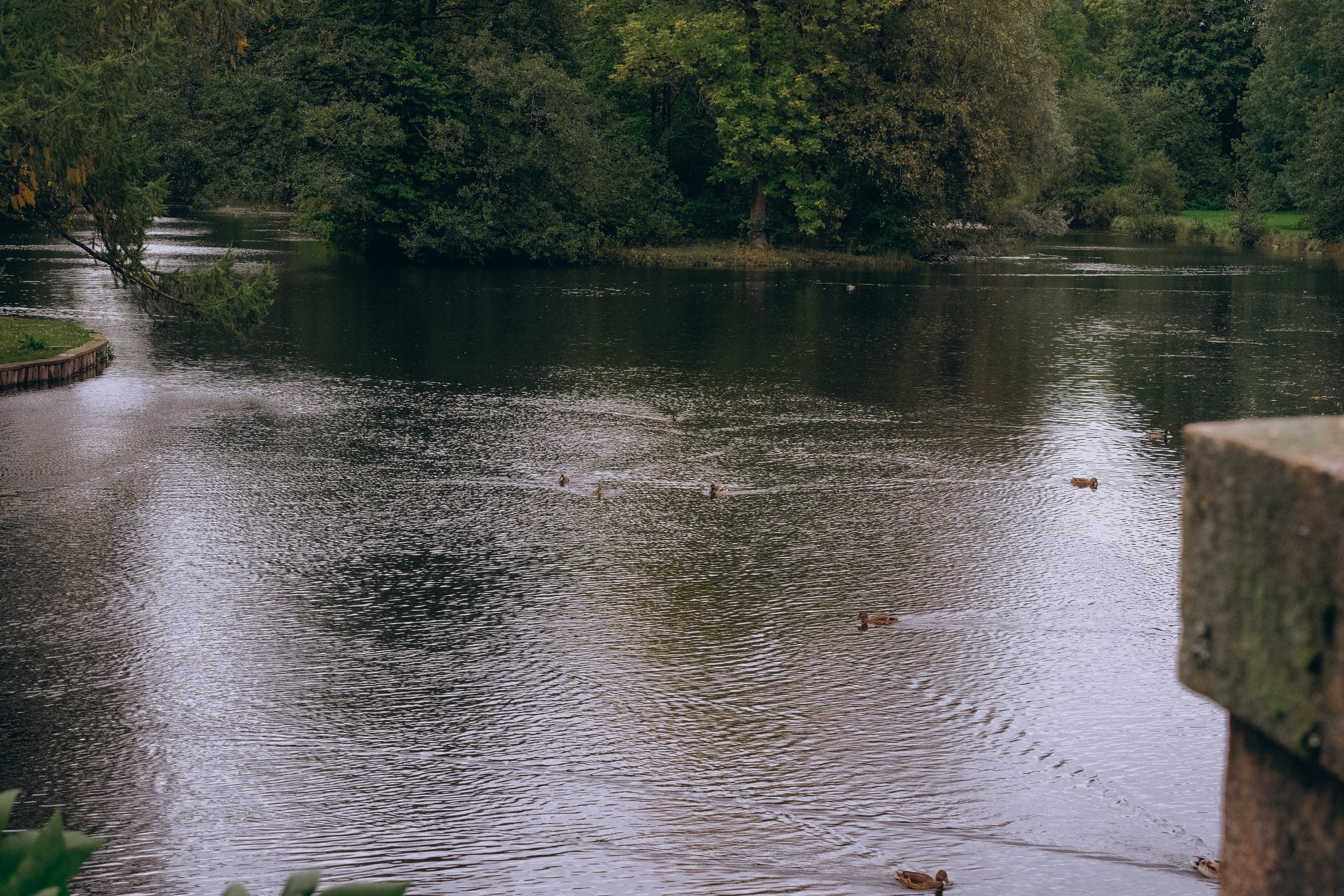 День рождения малышки. Профессиональный фотограф, Санкт-Петербург — Виктория Богомолова
