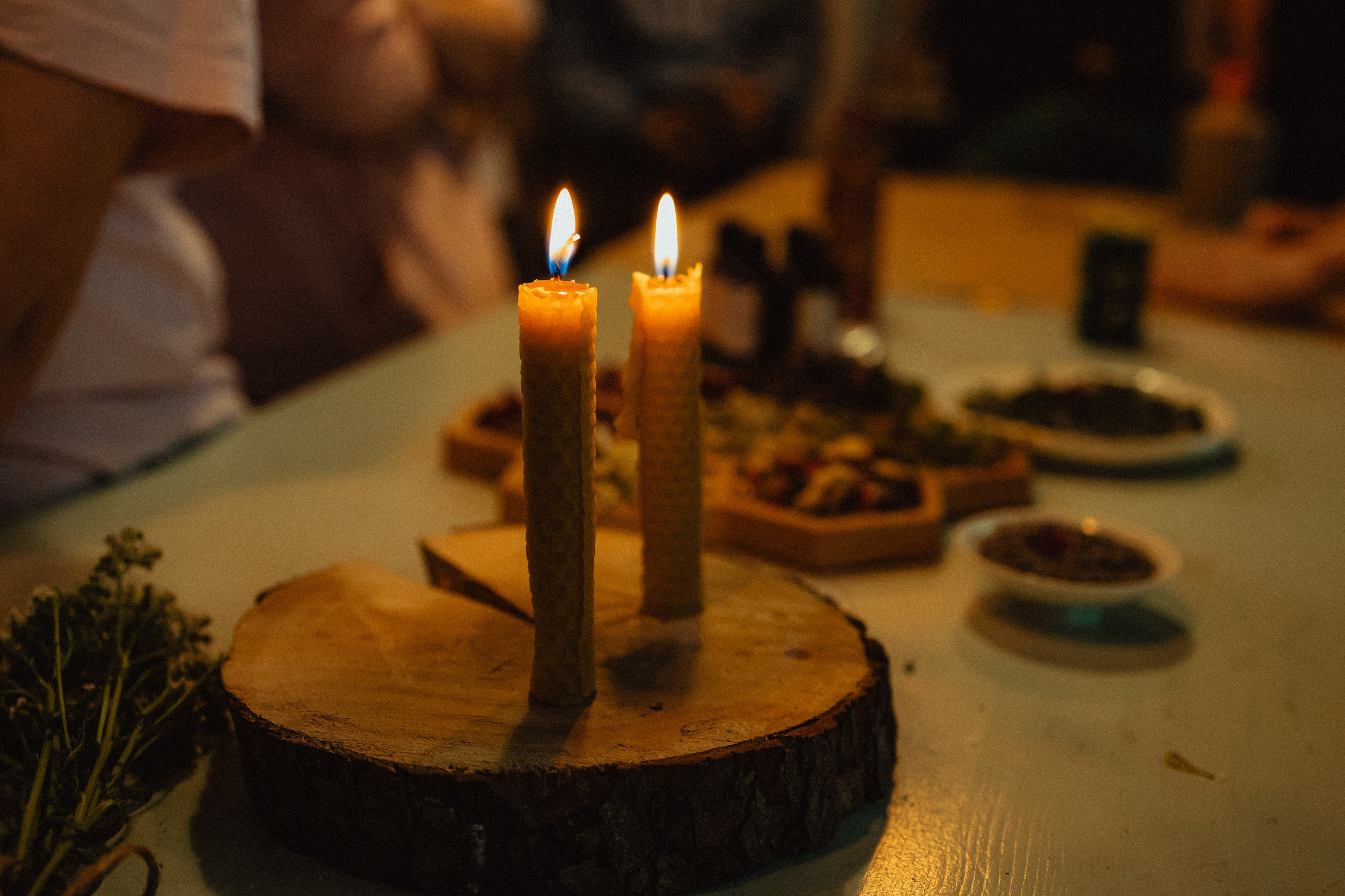 Выездной дог-тренинг от школы «Шерсть имею»