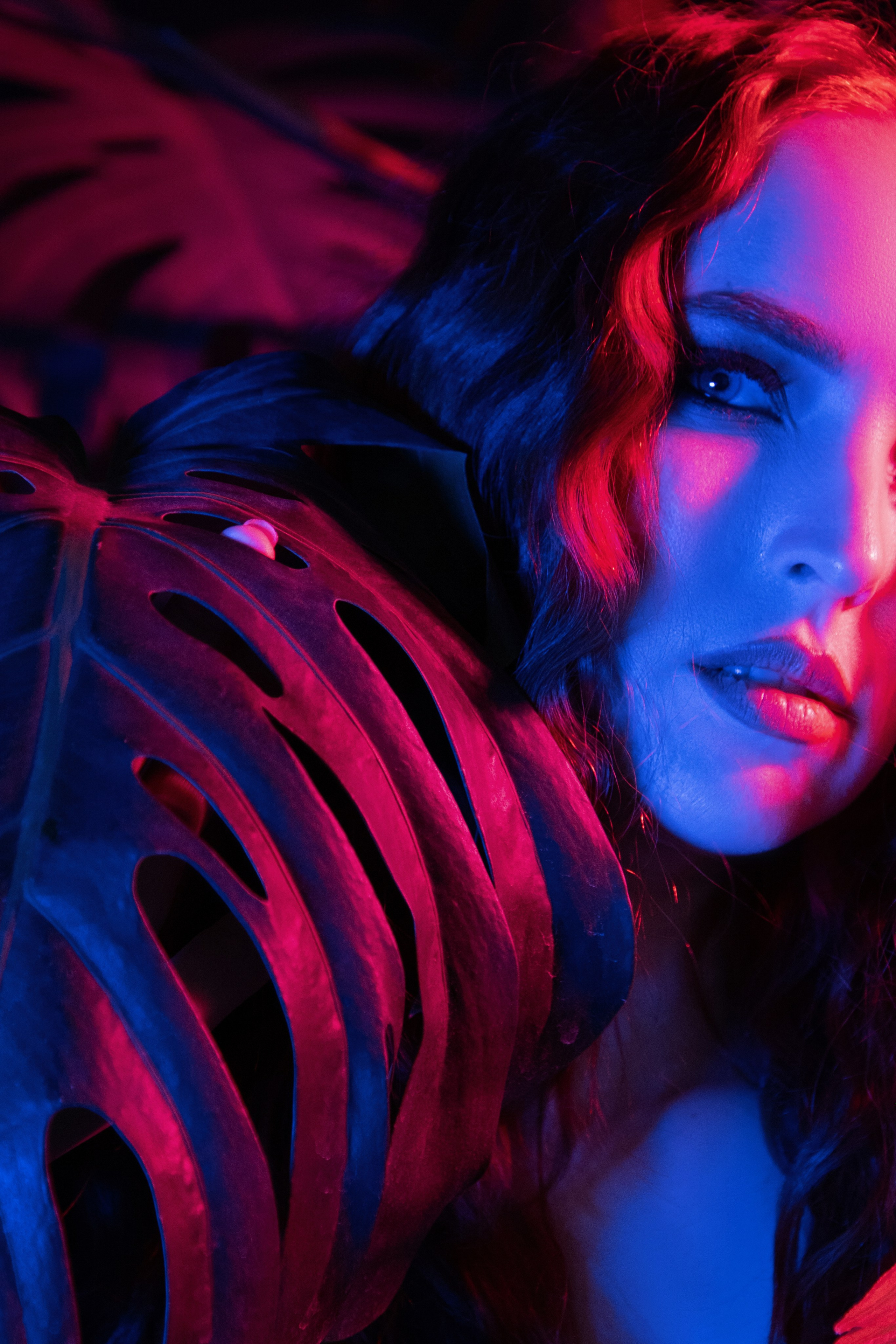 Palm. Студийный фотограф | Ксения | Ростов-на-дону