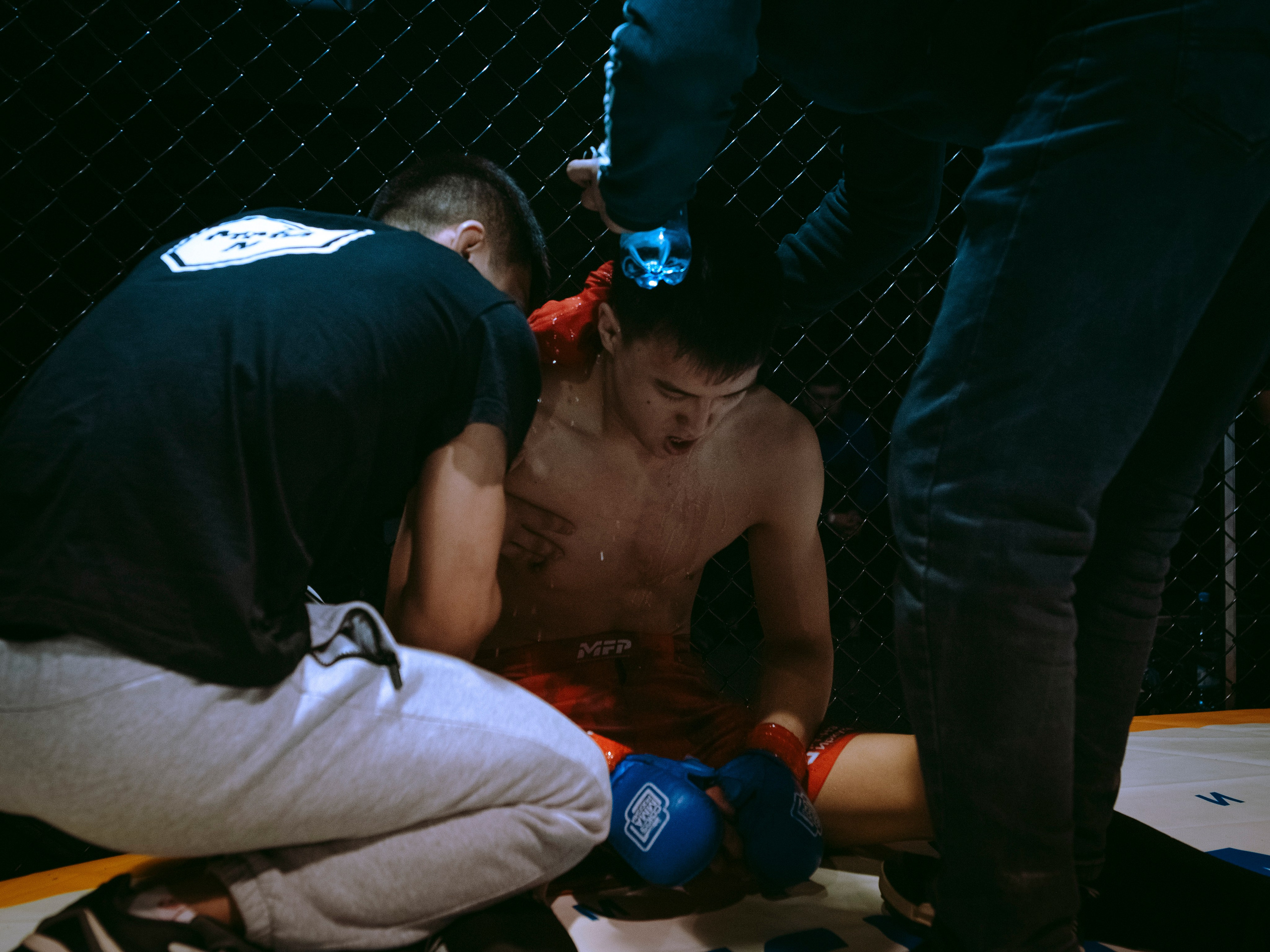 SFL 17 | Siberian Fighting League. Портретный фотограф в Москве Дарья Цезария