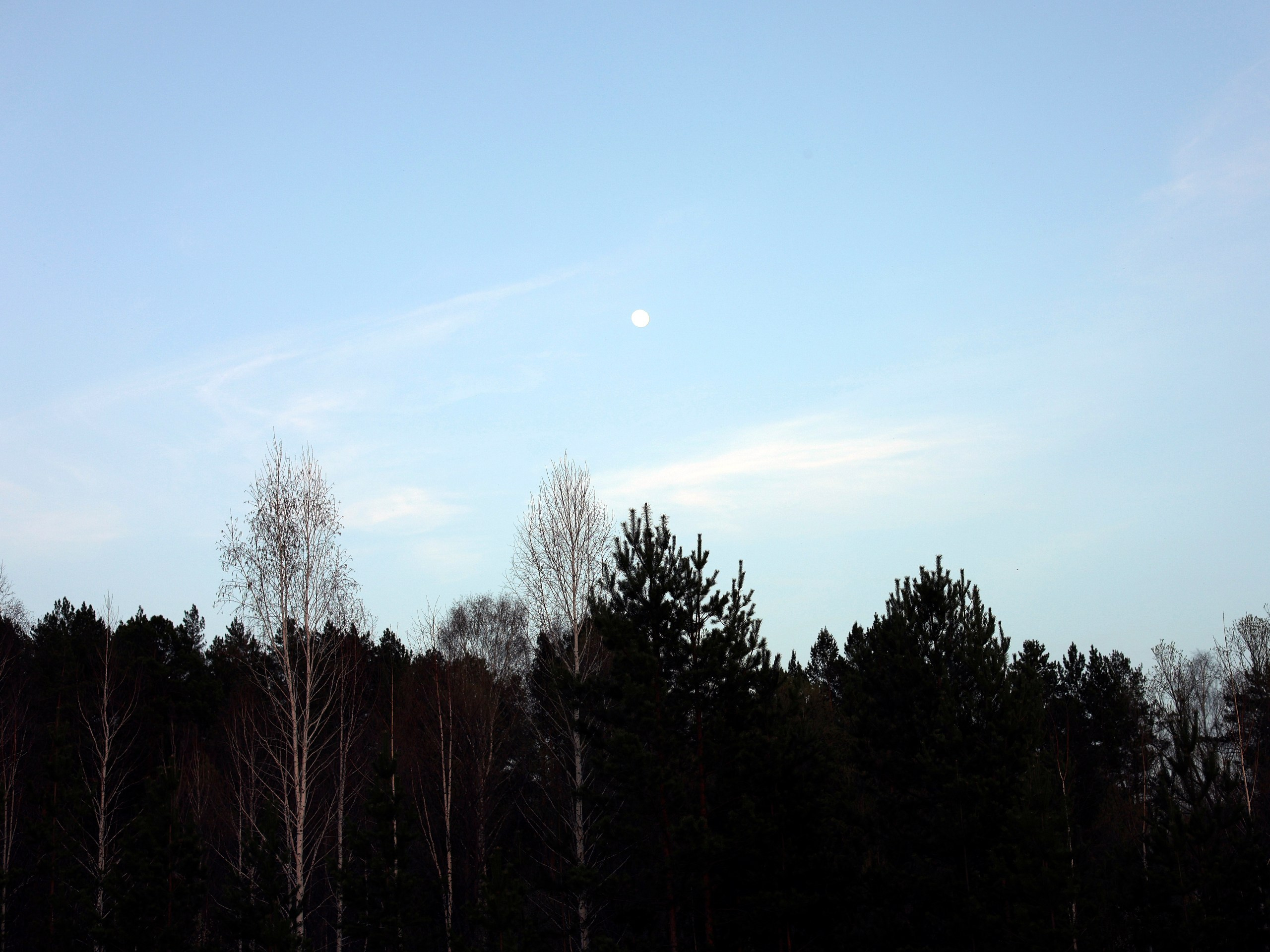 Фотограф | Видеограф в Кургане, Тюмени и Челябинске