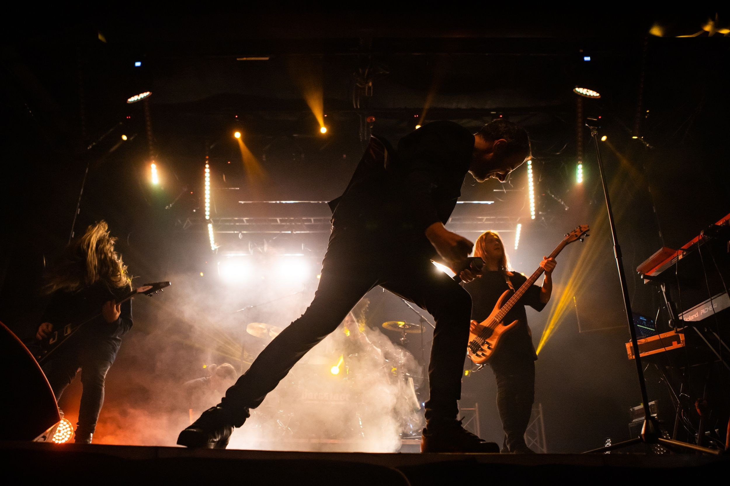 Animal ДжаZ. Репортажный фотограф Алексей Пирязев