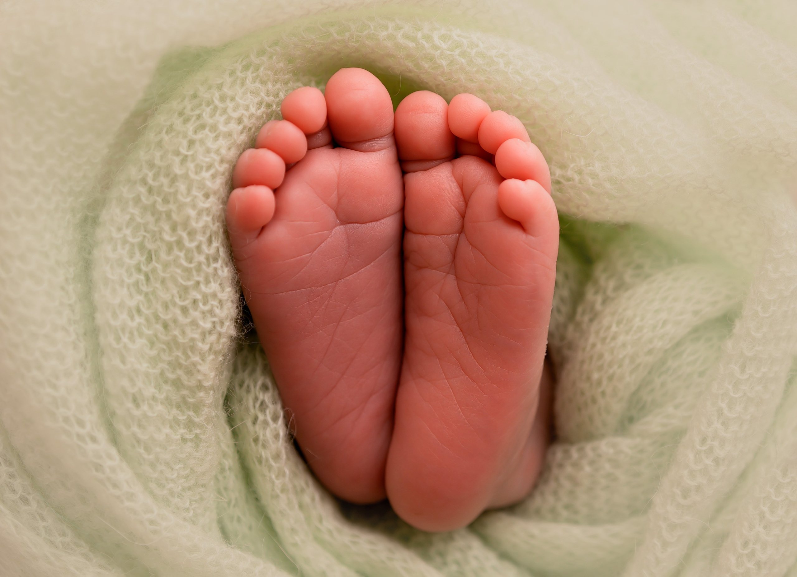 Виктория 16 дней. Фотограф новорожденных в Нижнем Новгороде Сергеева Оксана