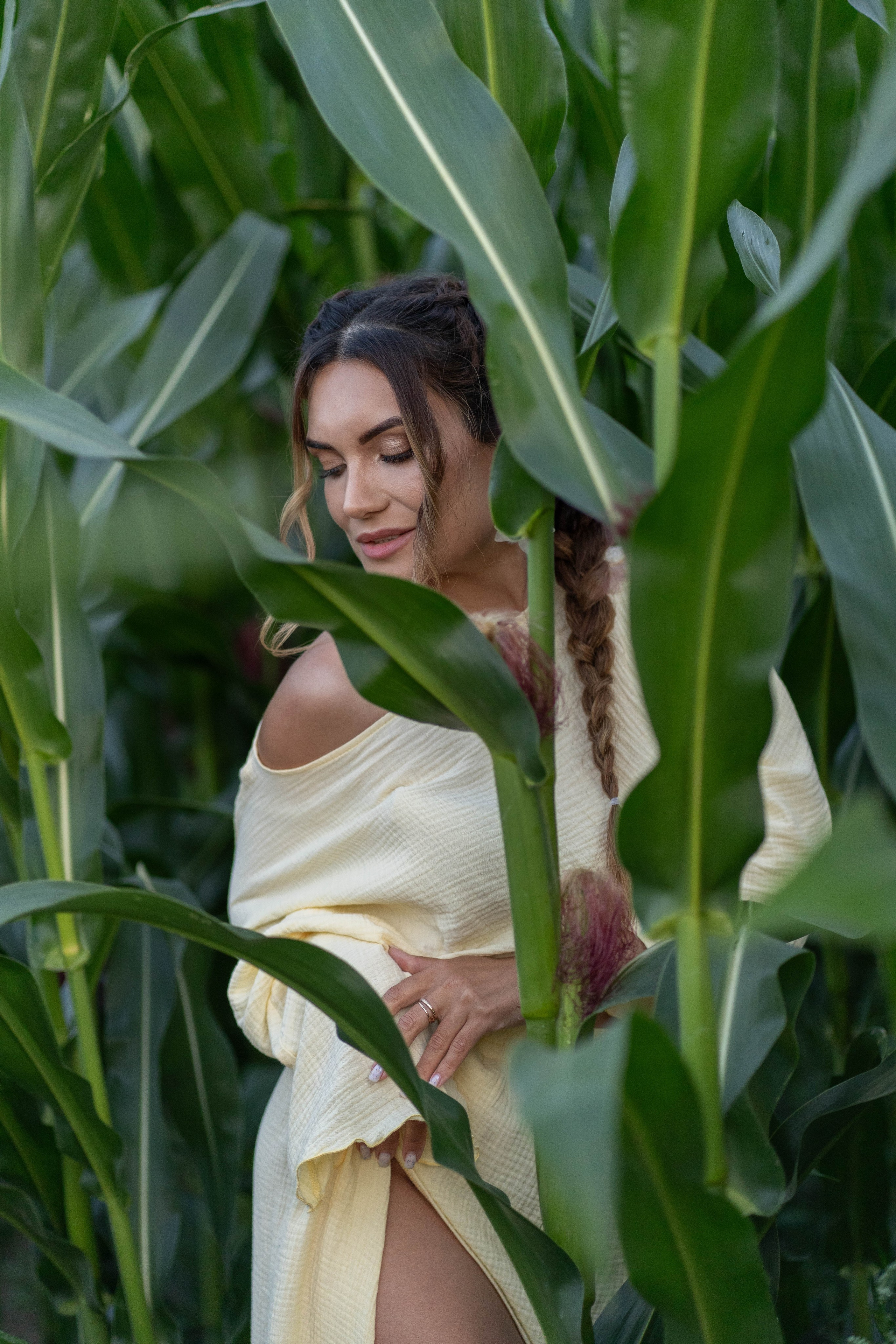 Кукурузное поле. Главная