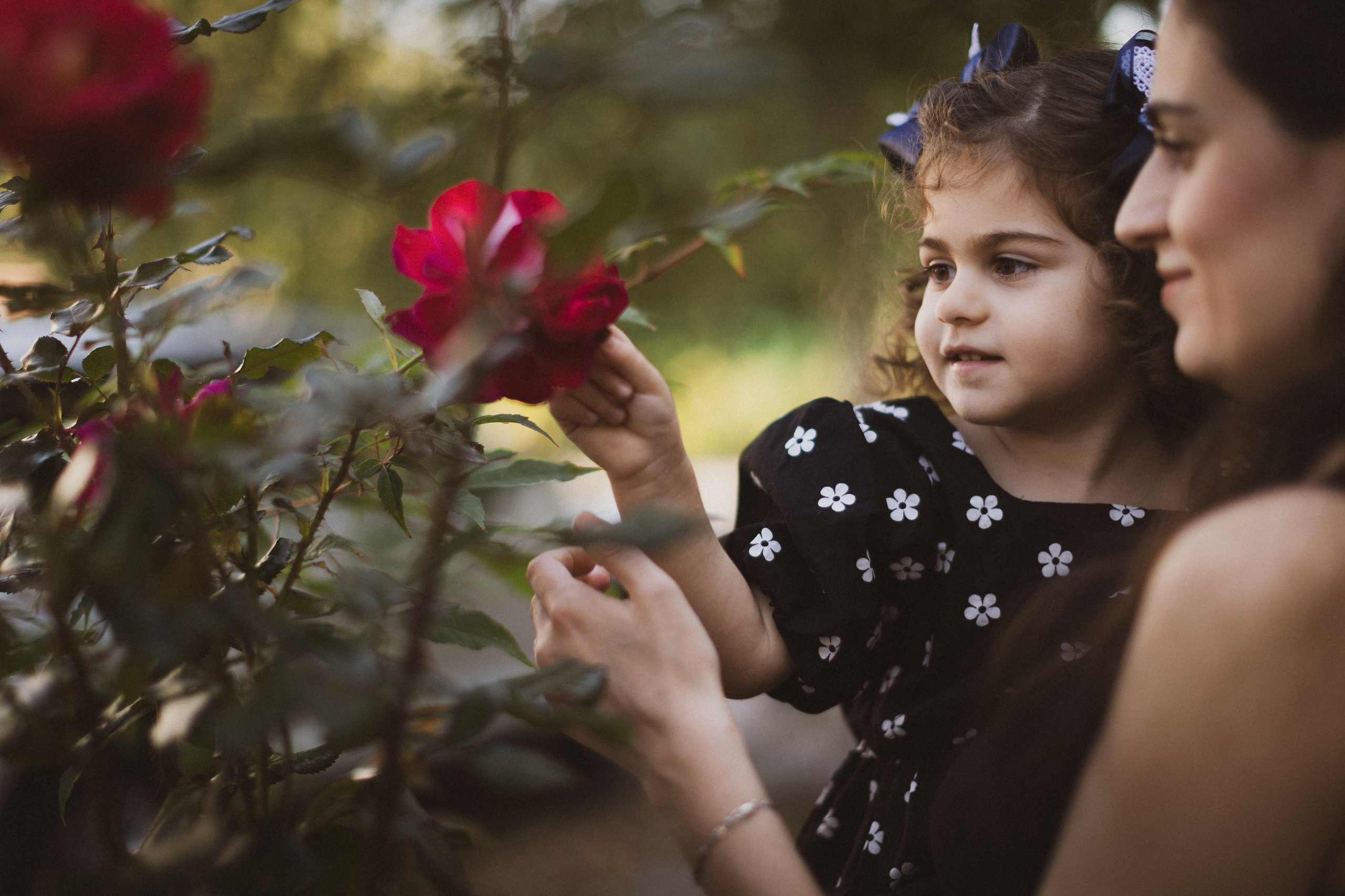 Family. Добродеева Алла фотограф, Москва