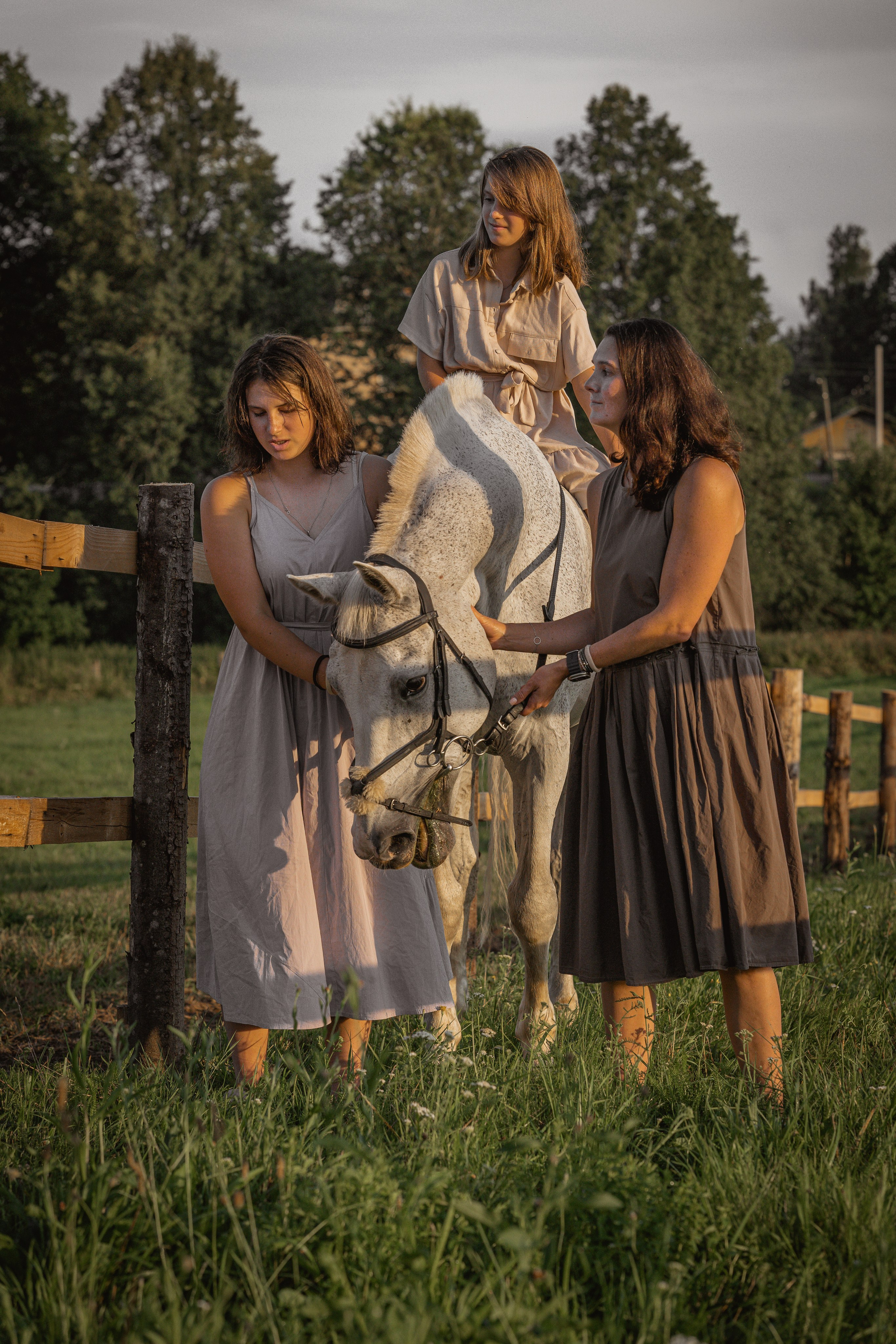 Лошади. Юлия Строганова. Фотограф. Москва