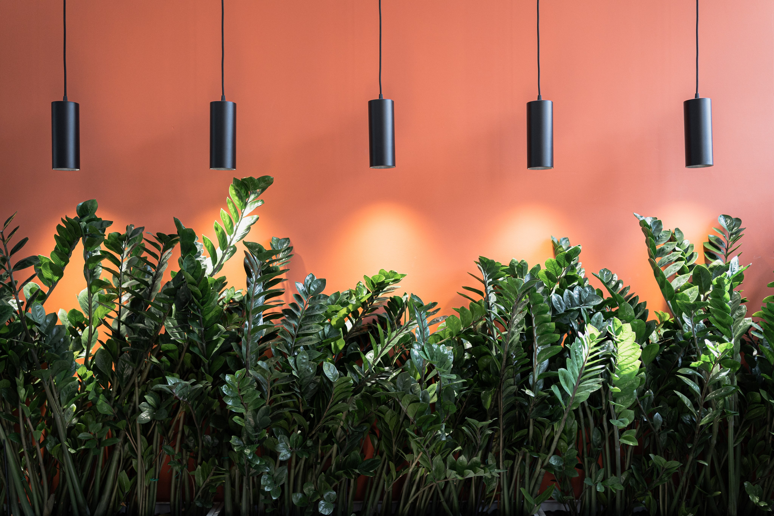 Terra. Елена Пашкевич, фотограф, Москва