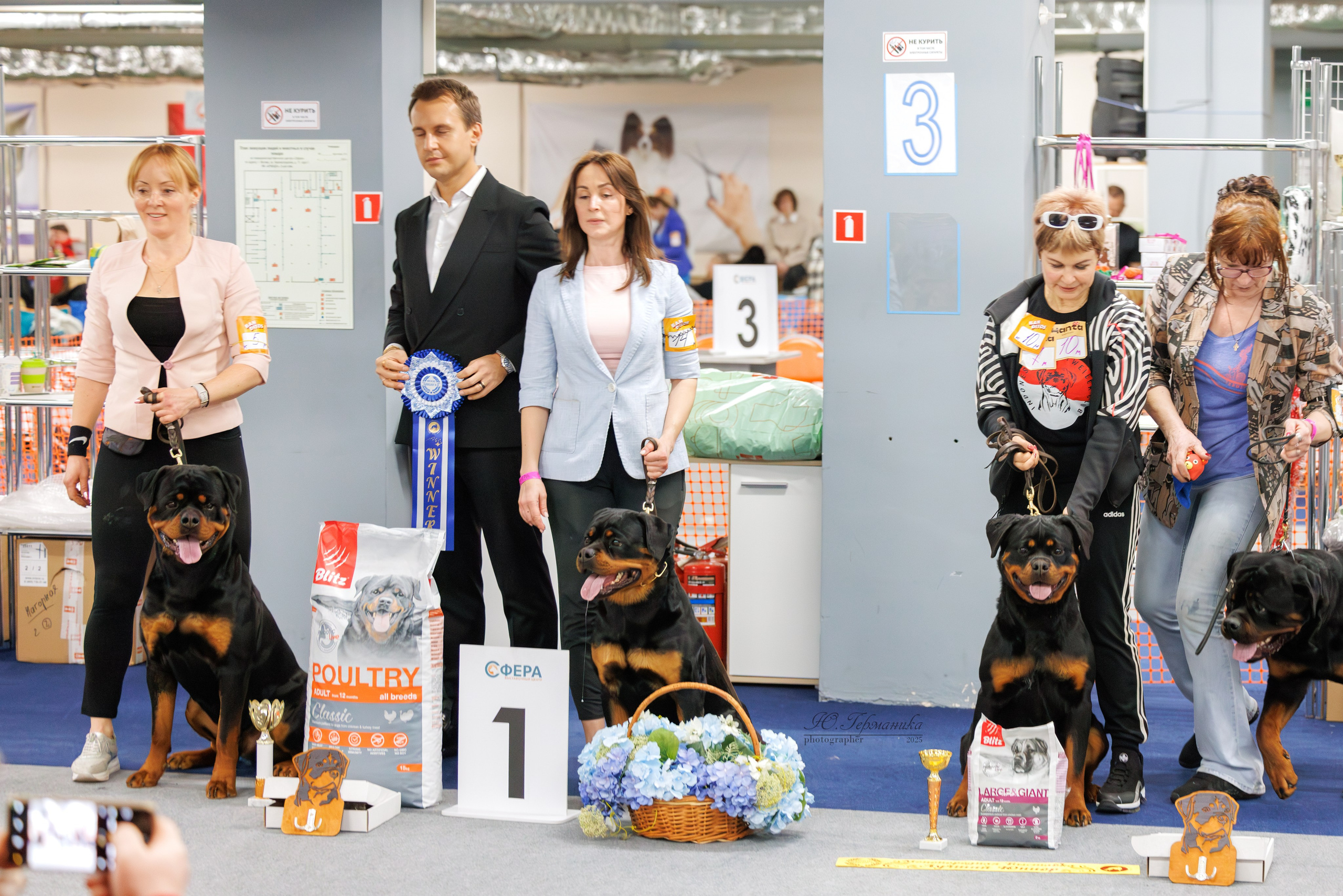 Сфера и Крокус 8,9,16 и 30.03.2025. Фотограф-анималист Юлия Германика