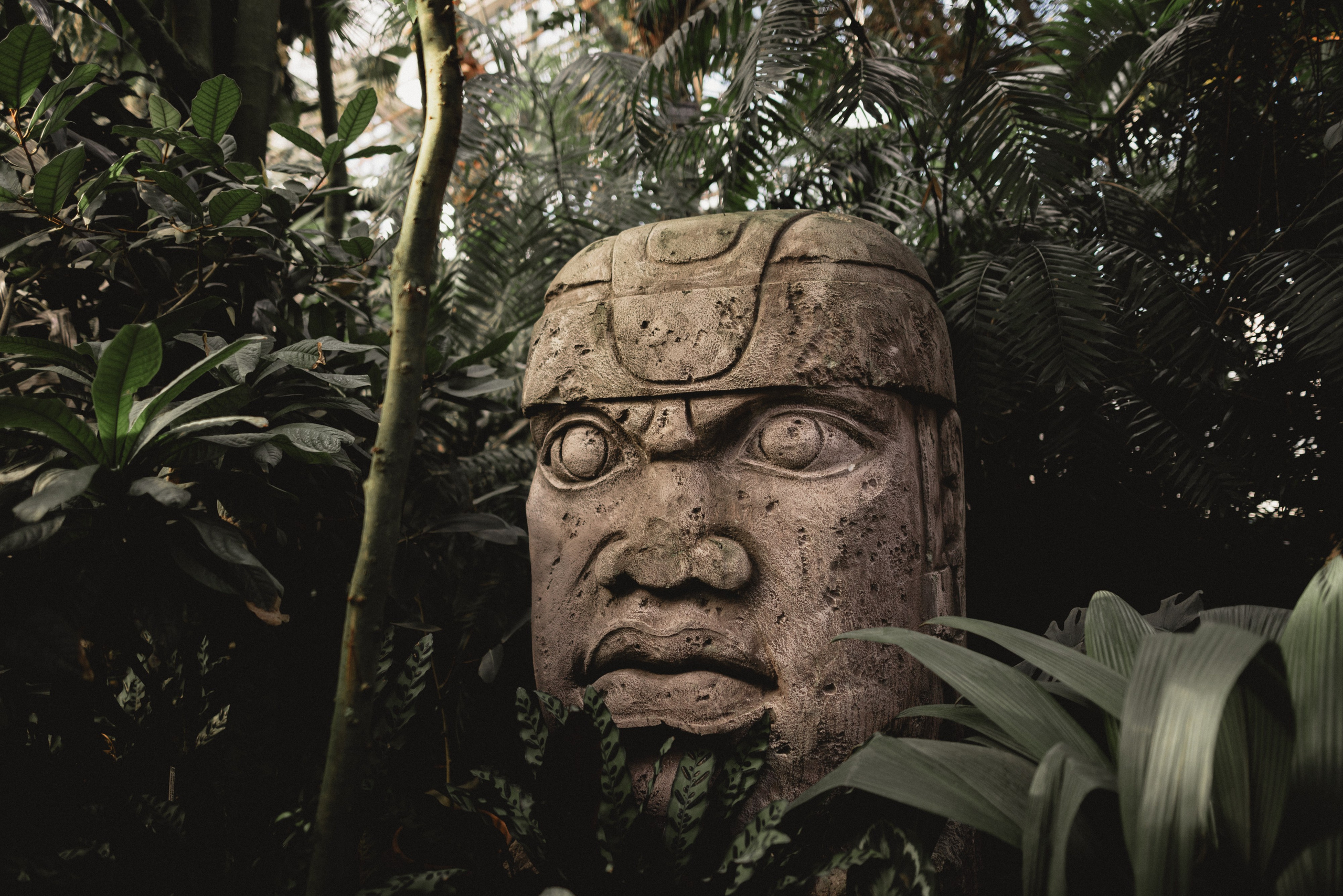 Настя & Женя