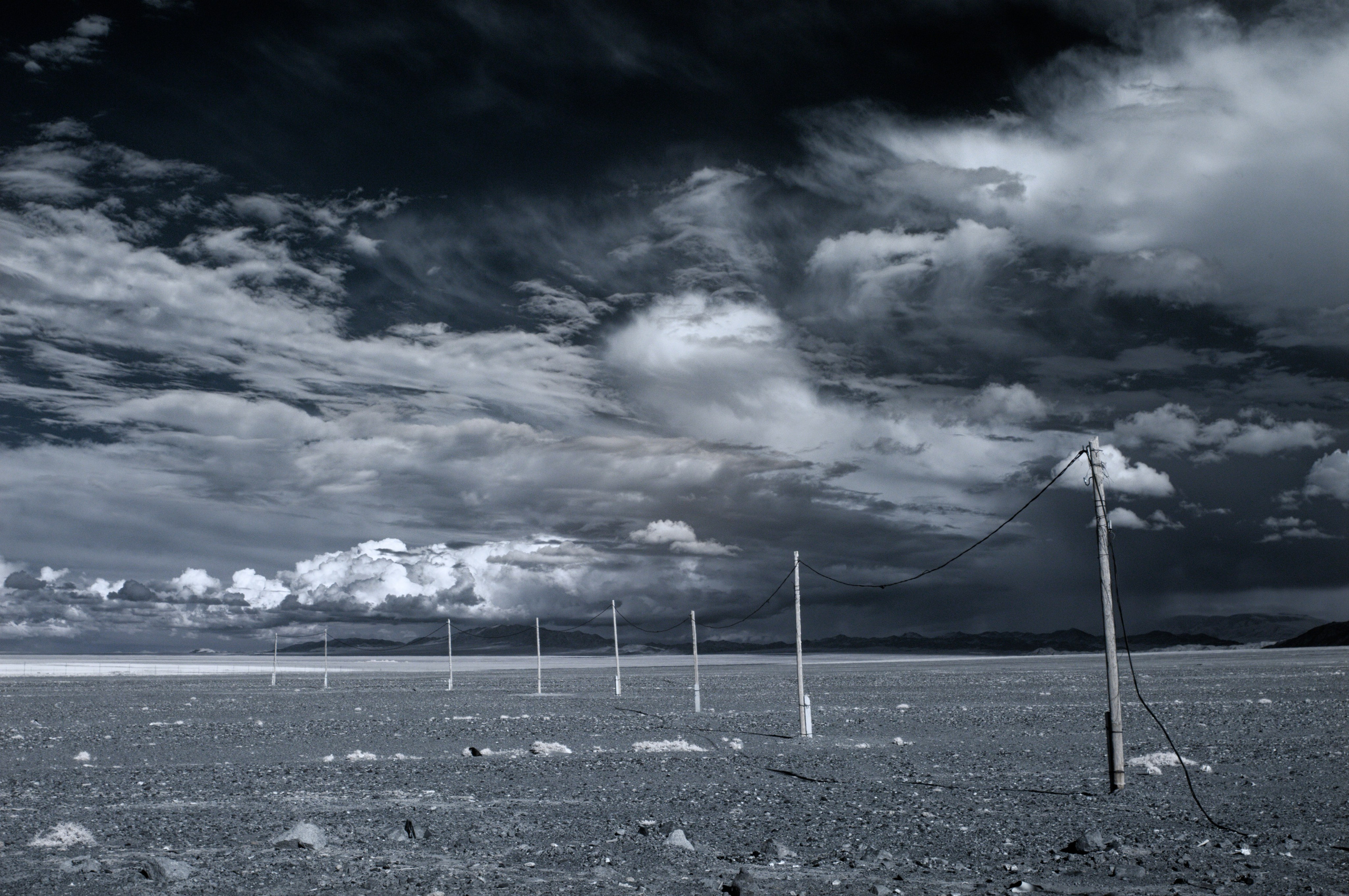 Экспедиция в Монголию (Гоби). Семоха Валерий. Фотограф