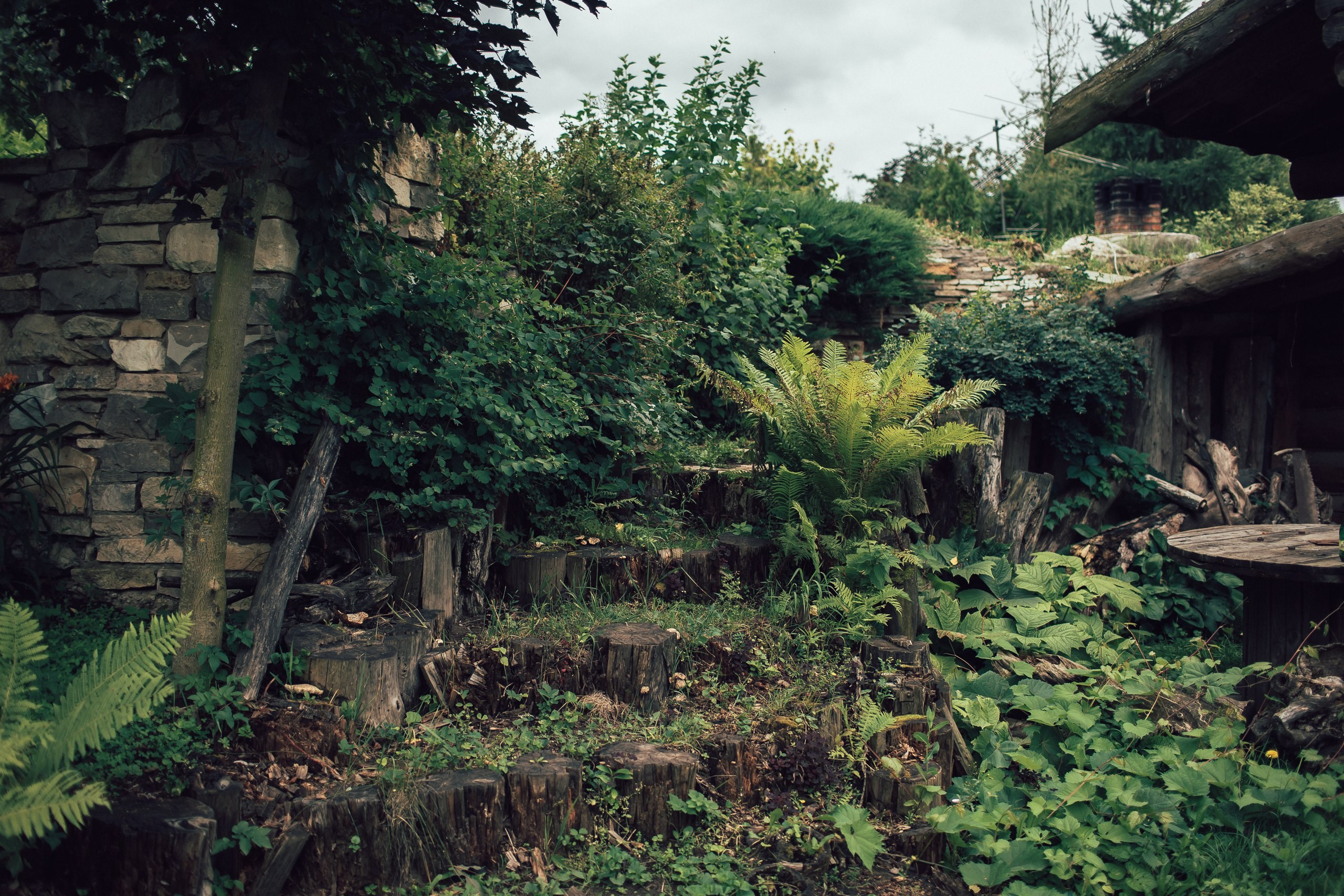 Фотогалерея мини-отеля «Таежный». Организация свадеб под ключ в Раменском