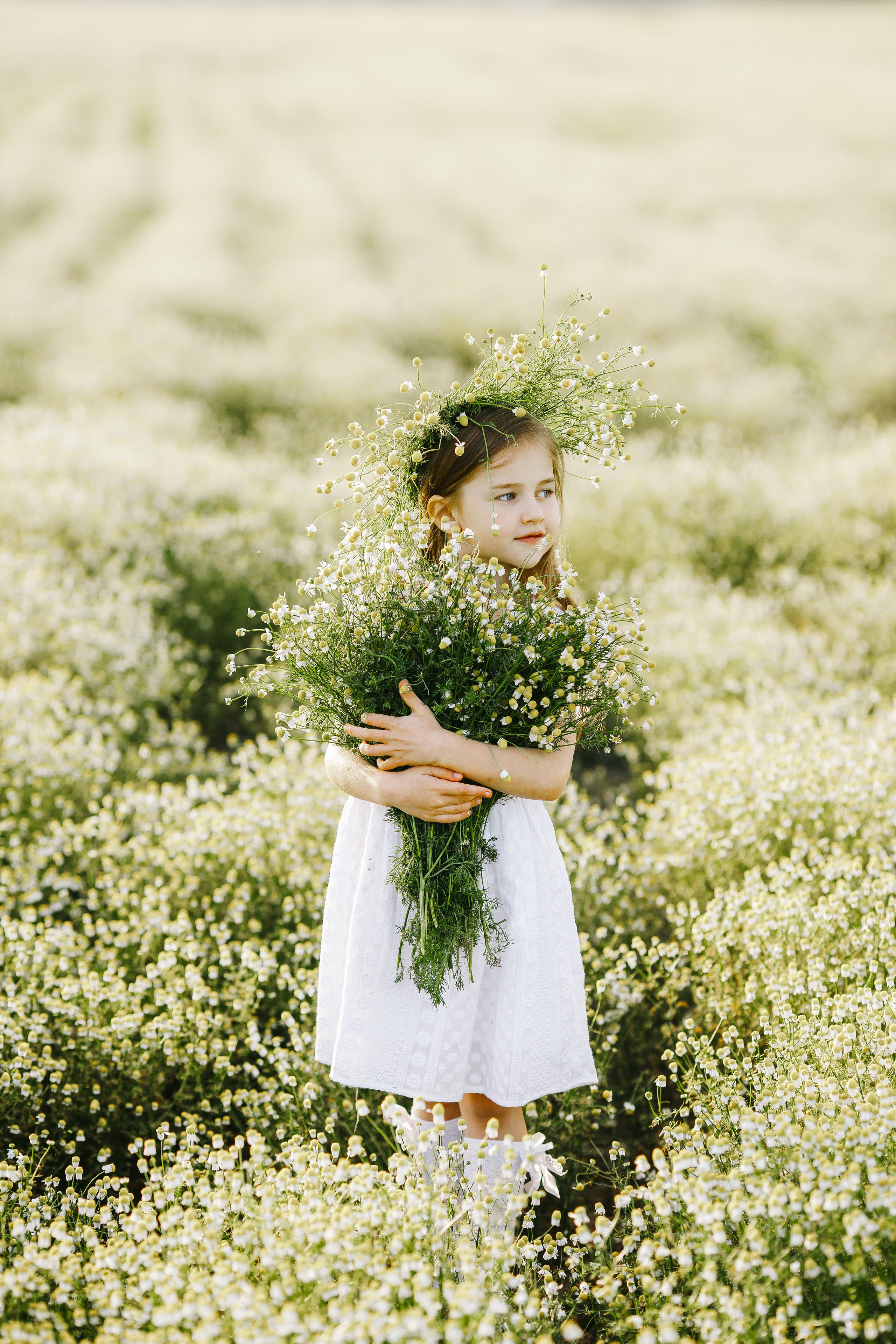 Фотосессии детские и женские в полях. Семейный и детский фотограф в Пскове и Санкт-Петербурге Яна Калинина