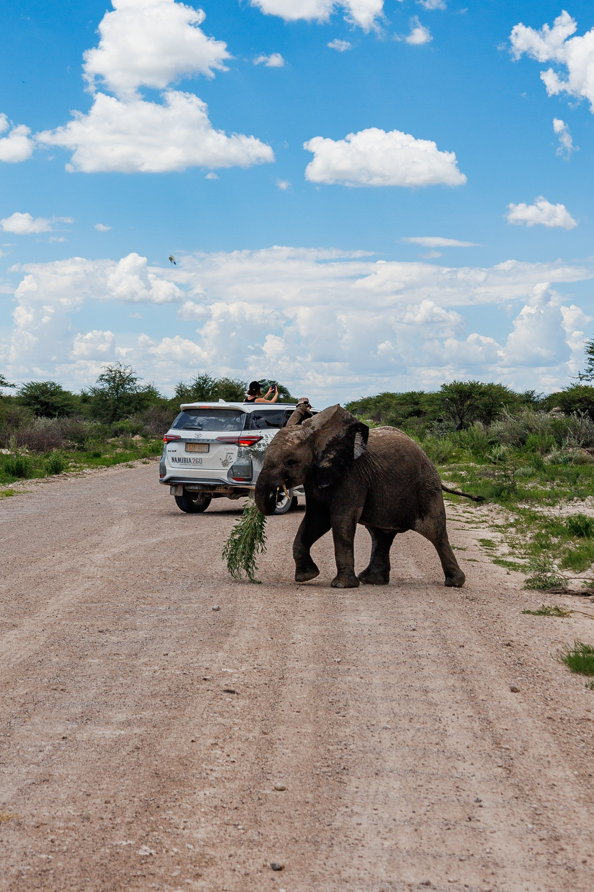 НАМИБИЯ. Роадтрип