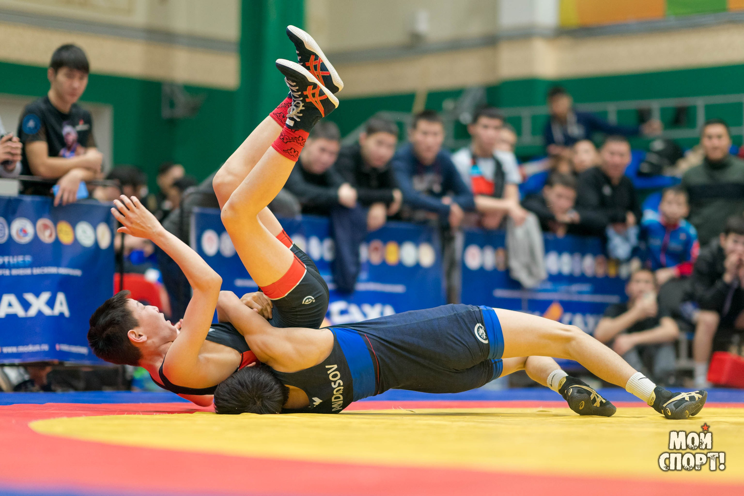 Первенство РС (Я) по греко-римской борьбе пам. Д. Г. Максимова. Студия «Мой Спорт!» — все о спорте в Якутии