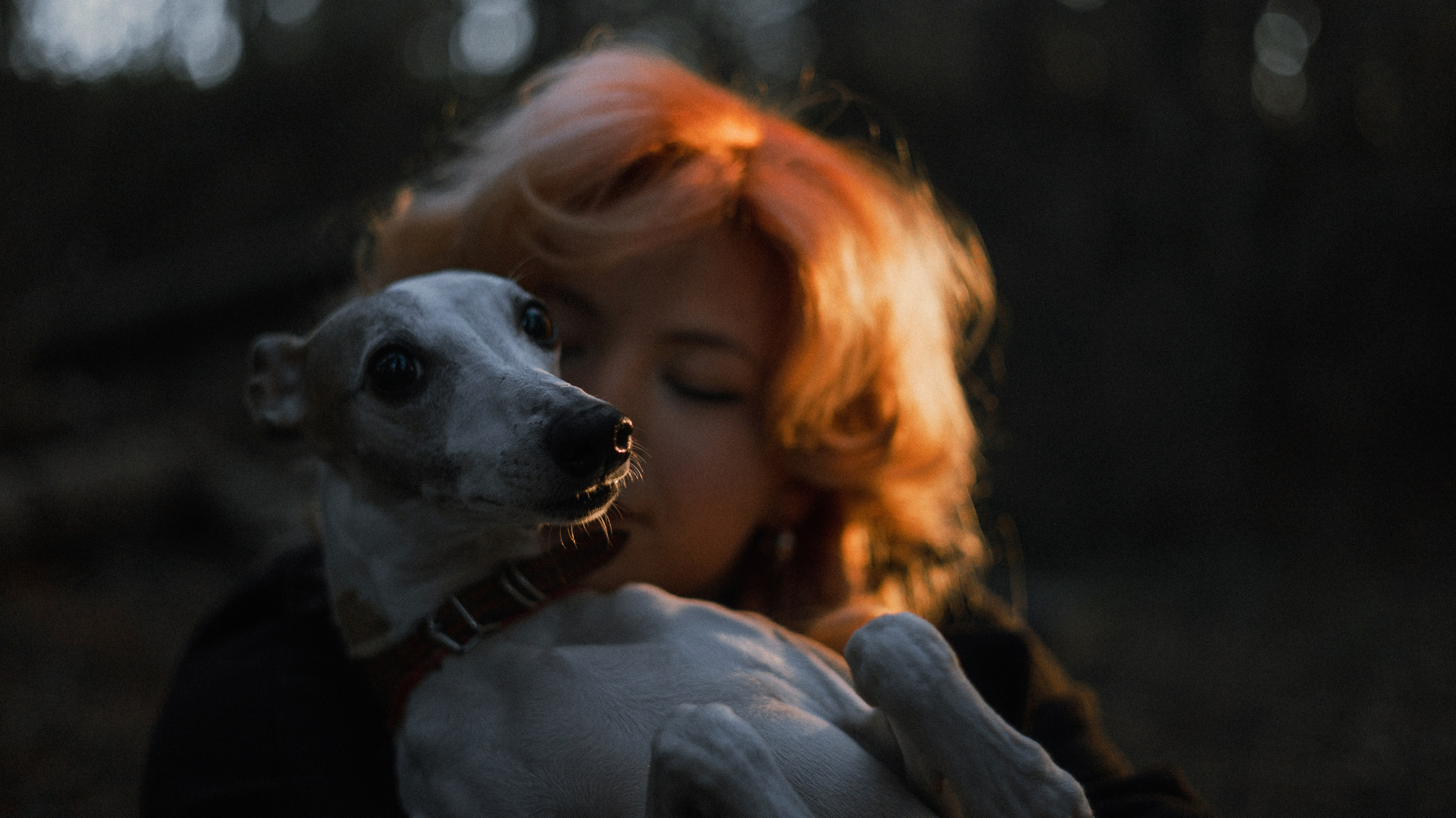 Вика, Джем и Белла. Фотограф-анималист Богданова Полина
