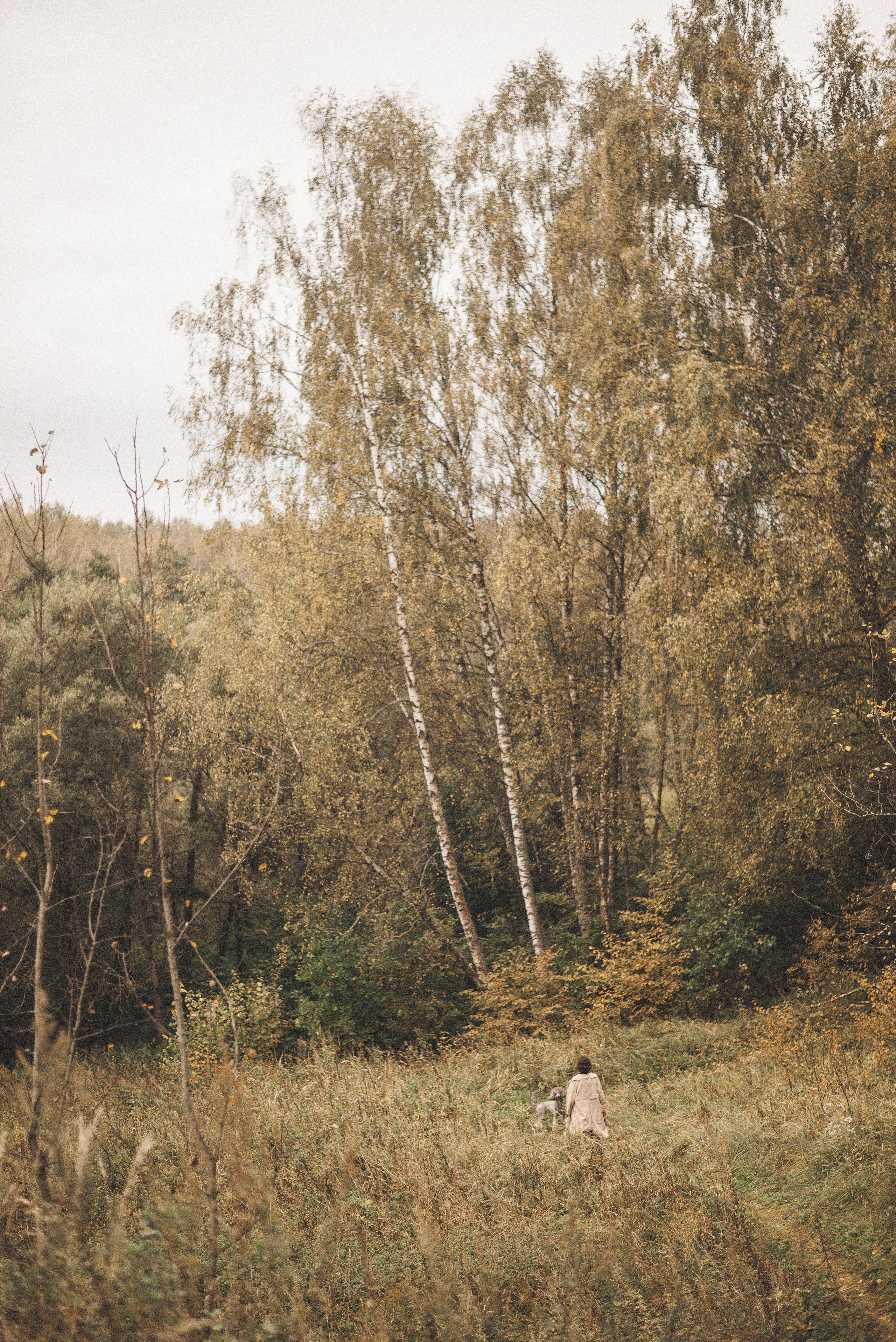 Алёна и Смоки. Фотограф-анималист Богданова Полина