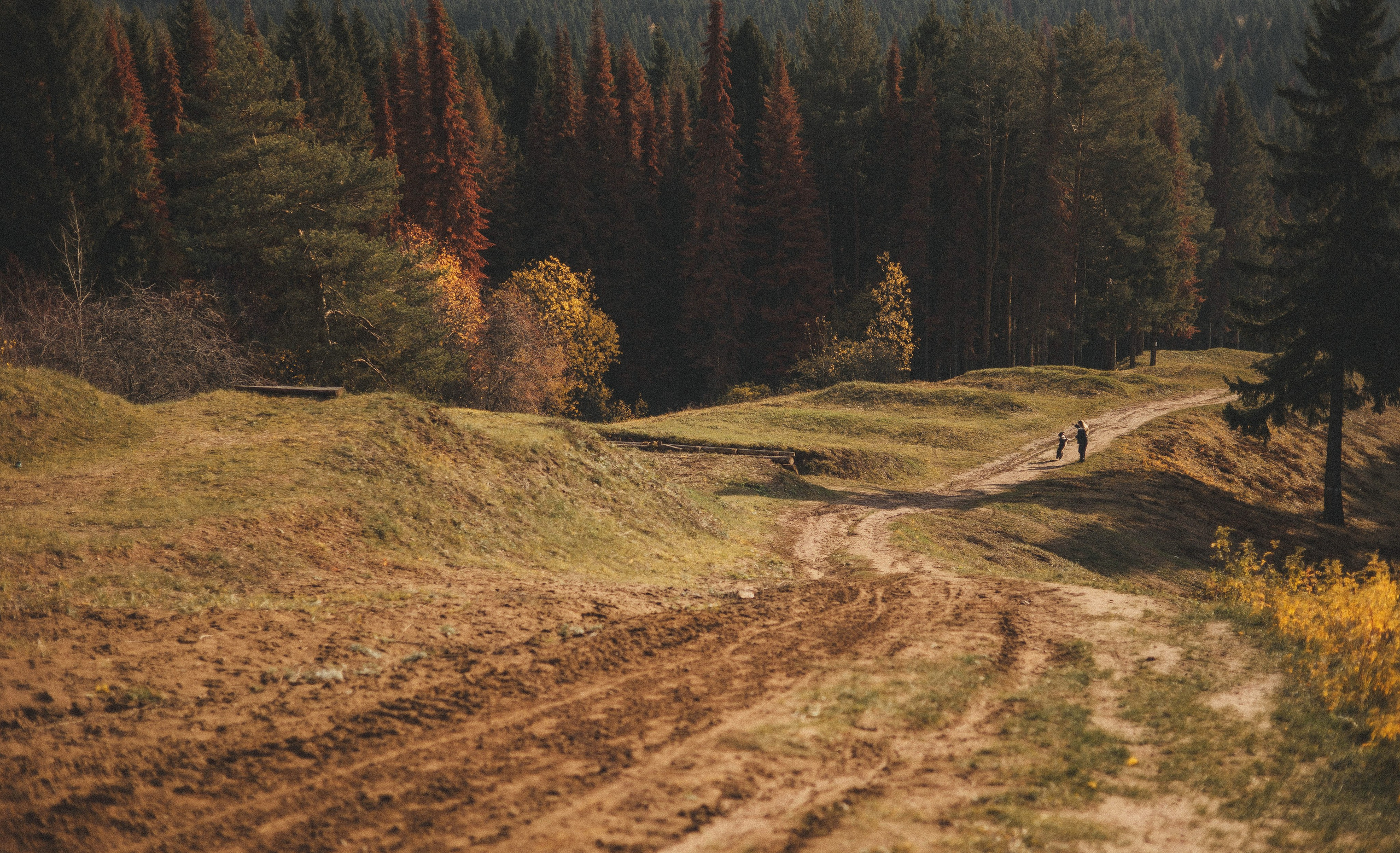 Даша и Дже. Фотограф-анималист Богданова Полина