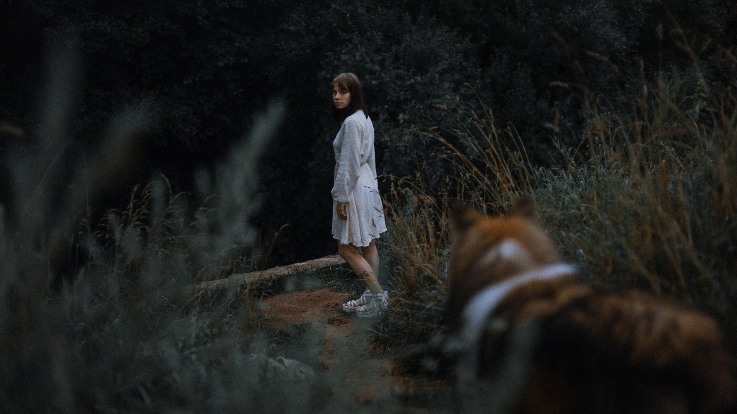 Аня и Скай. Фотограф-анималист Богданова Полина