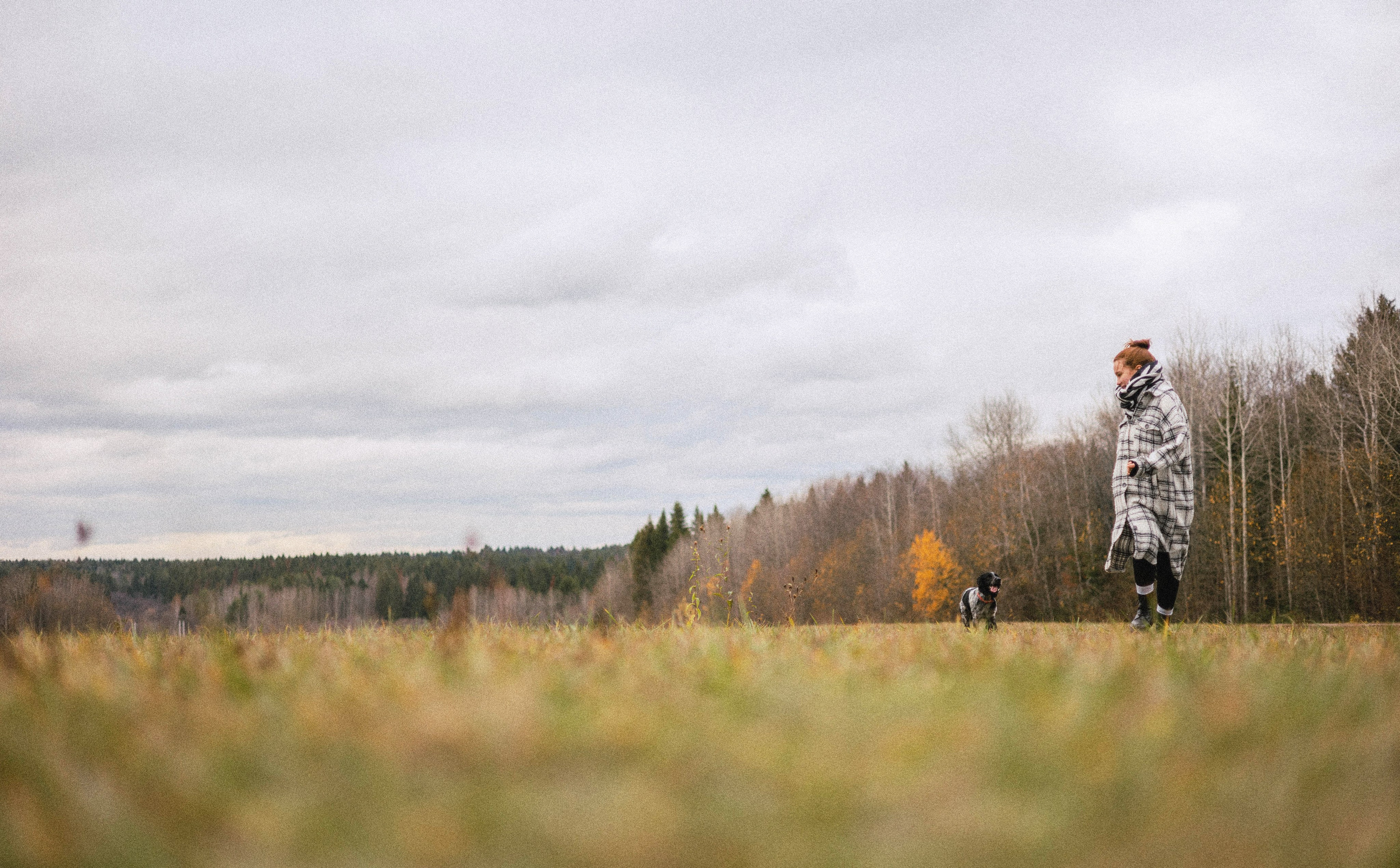 Вика и Ава. Фотограф-анималист Богданова Полина
