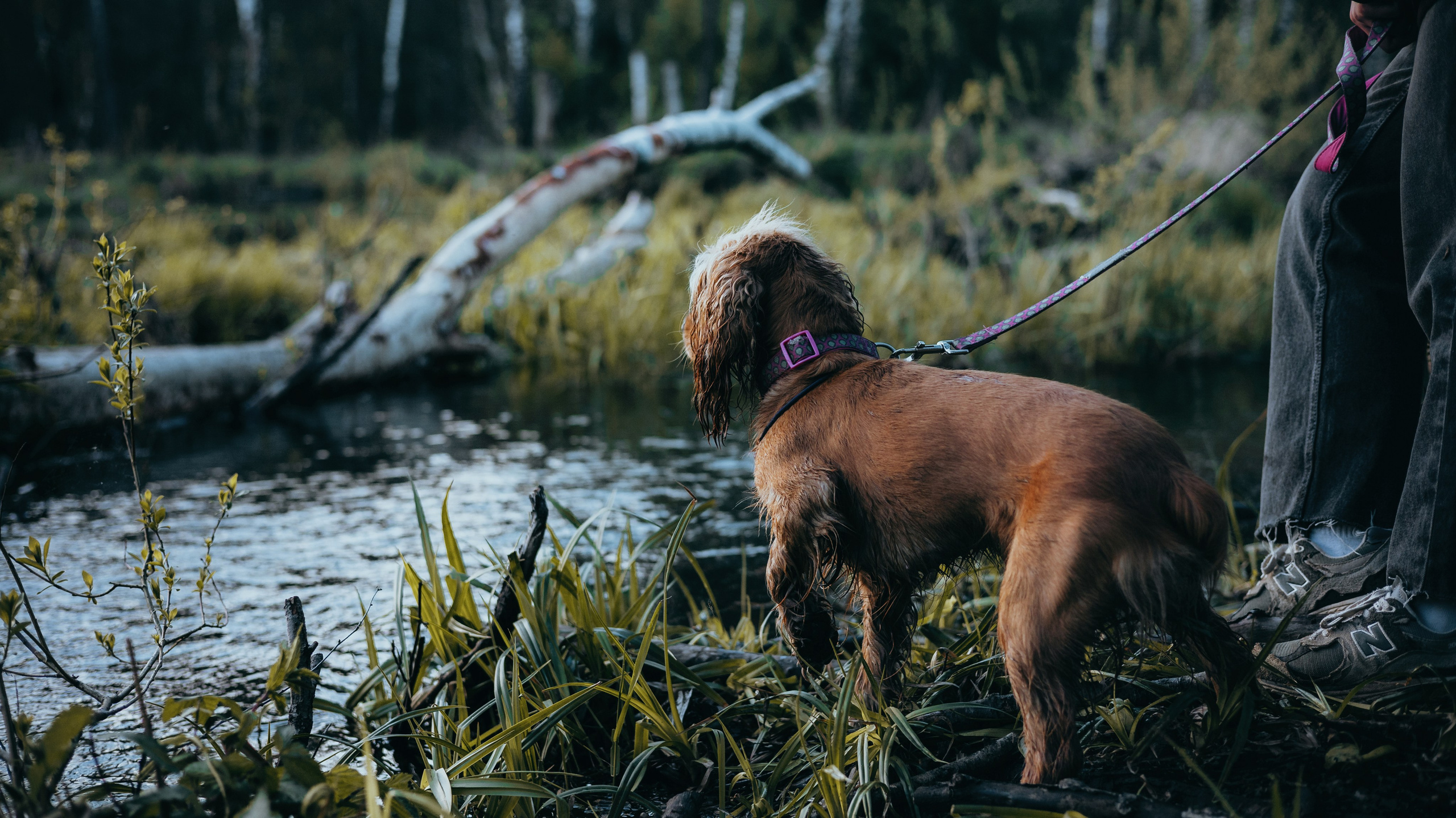 Аня и Юта. Фотограф-анималист Богданова Полина