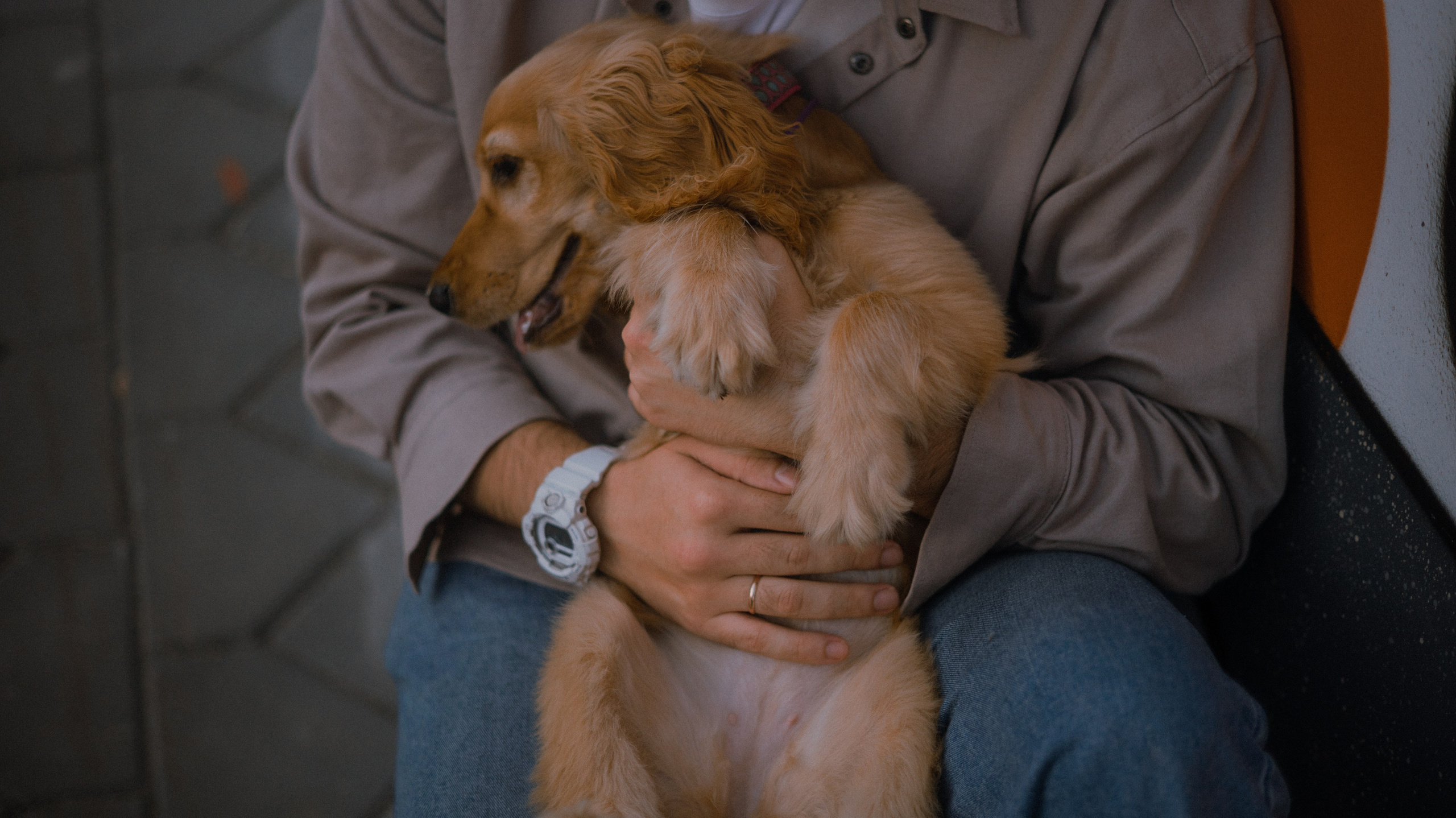Аня, Андрей и Юта. Фотограф-анималист Богданова Полина