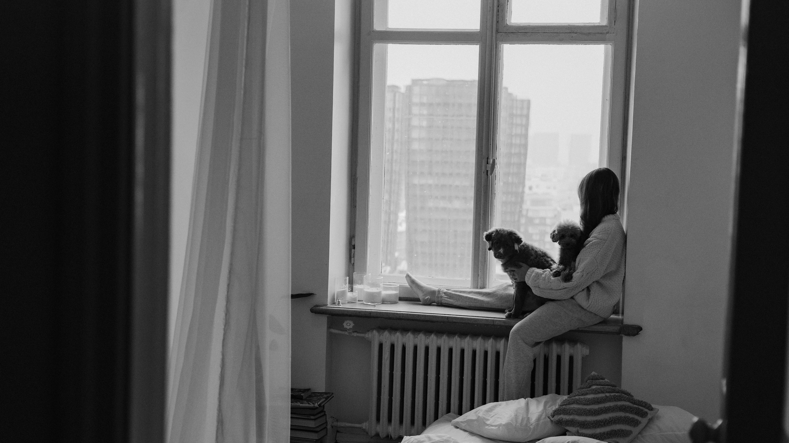 Маша, Одди и Нэвил. Фотограф-анималист Богданова Полина