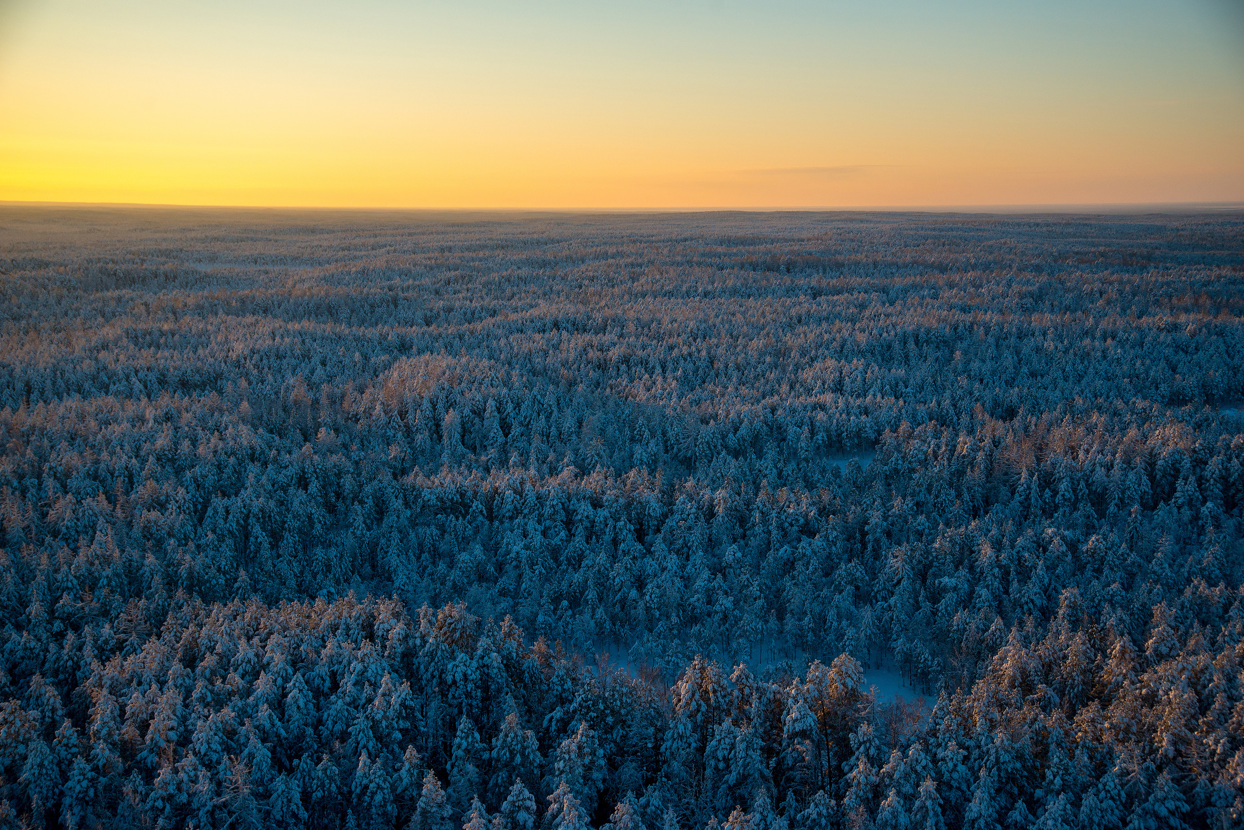 #LANDSCAPE. Петр Гуторов. Фотограф Москва