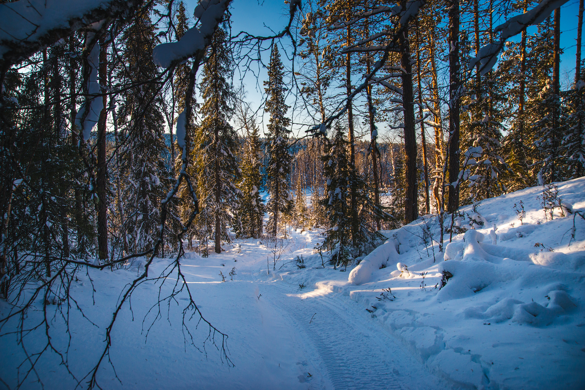#LANDSCAPE. Петр Гуторов. Фотограф Москва