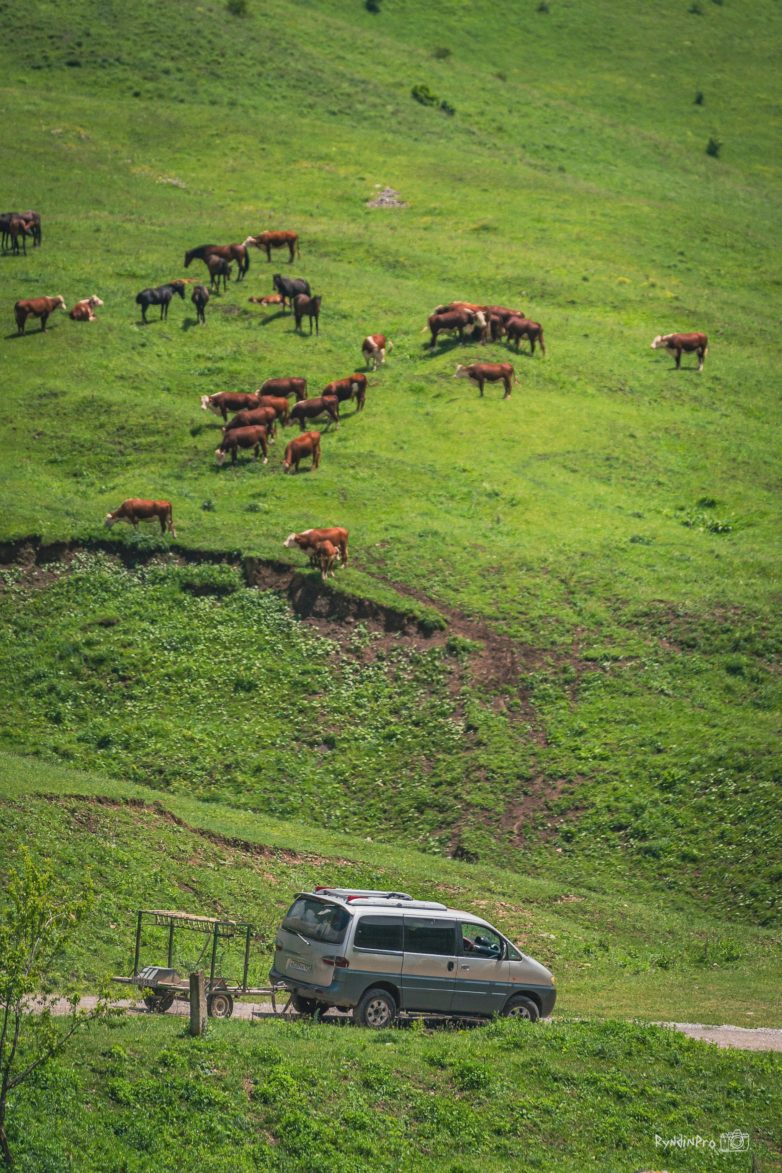Велотур Осетия 16.06.2024 Ковальтур. Репортажный фотограф в Краснодаре Рындин Дмитрий