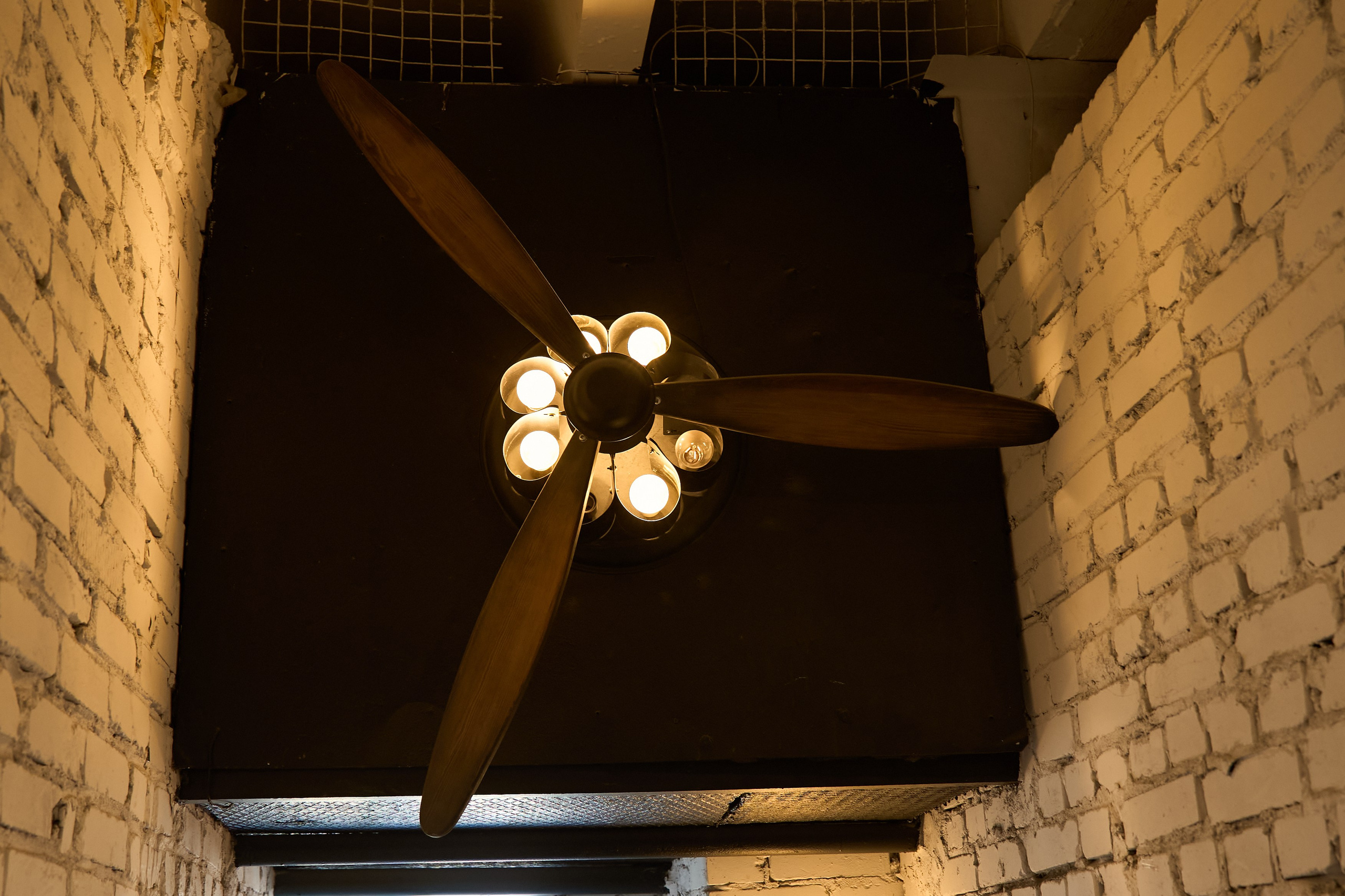 День Рождения Ольги. Елизавета Мальгина, фотограф в Москве