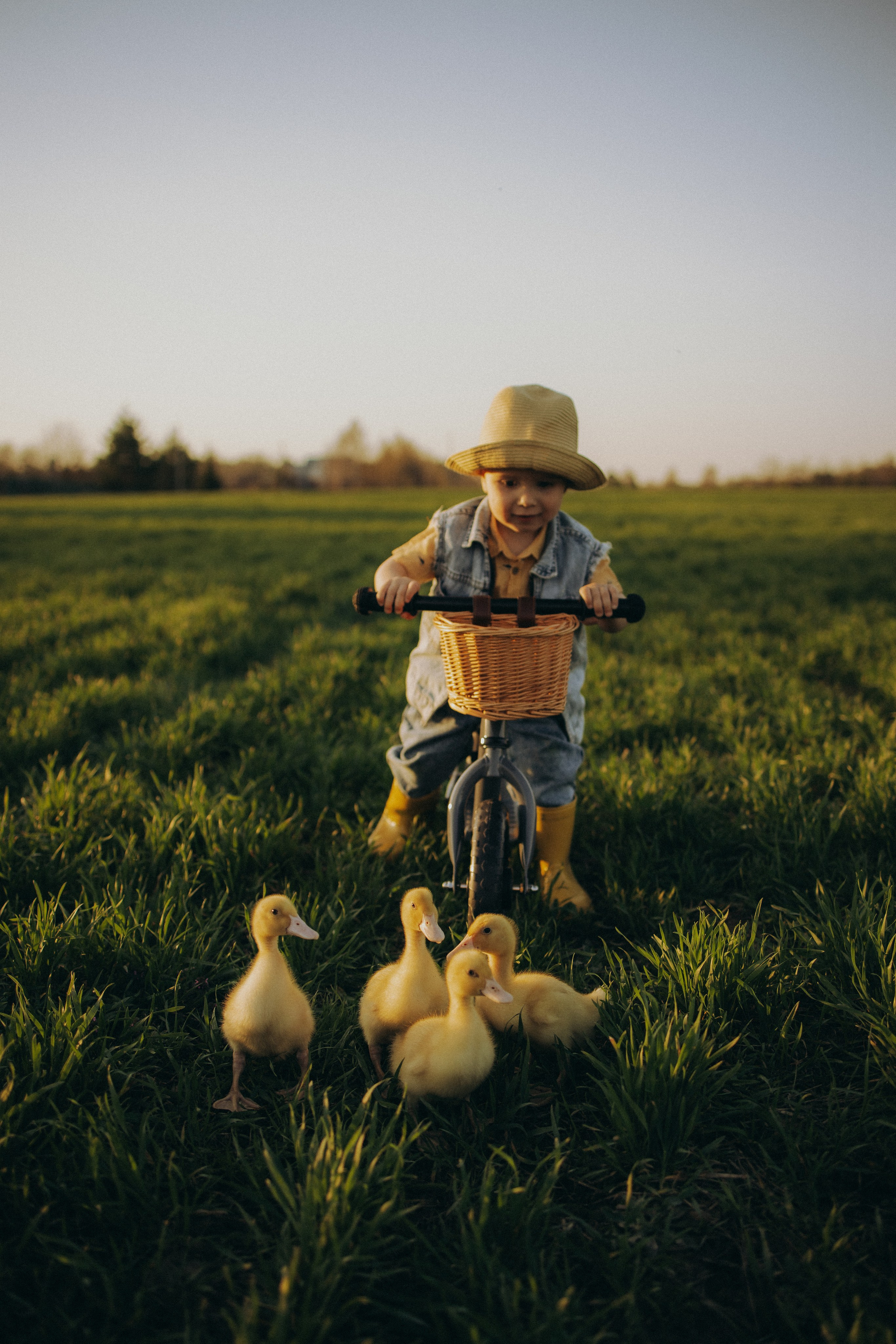 Фотосессия в поле. ОБО МНЕ