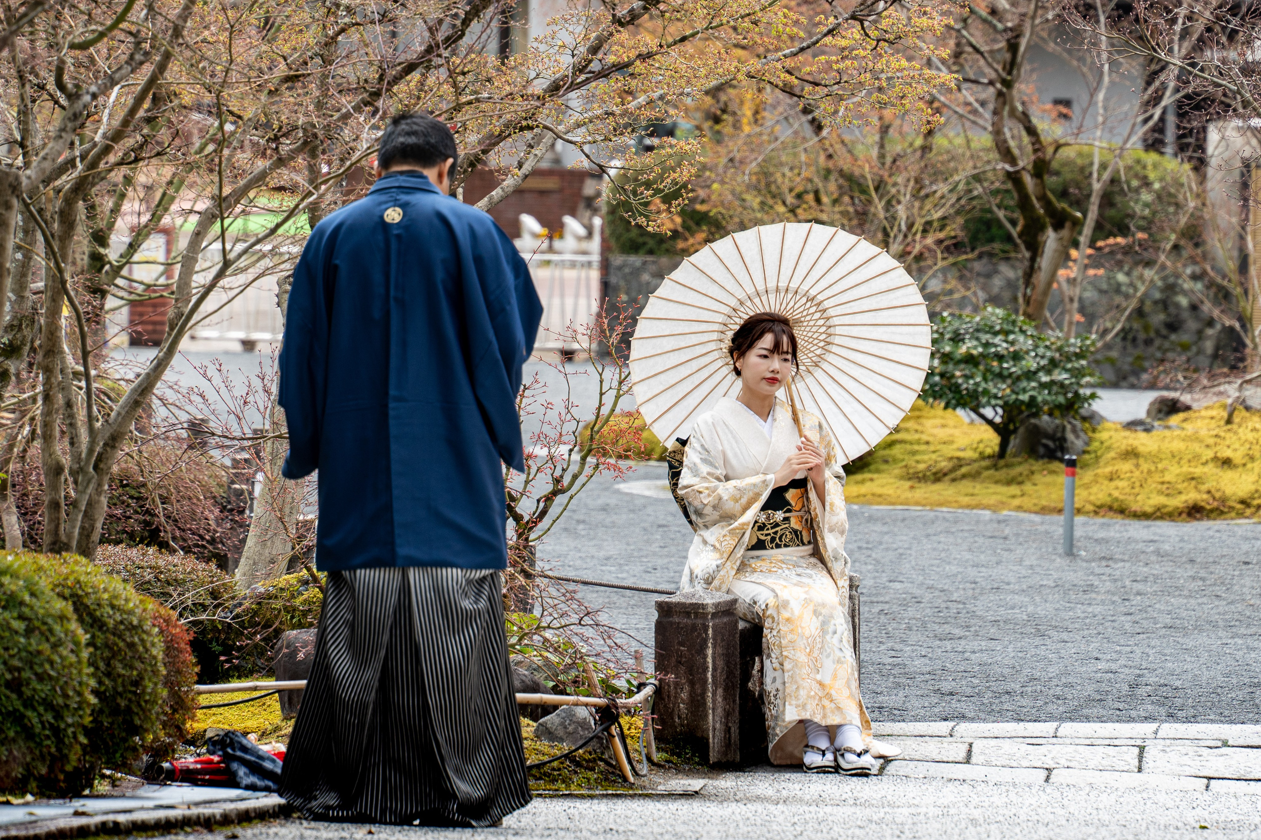 Япония, сакура. Творческие сьемки