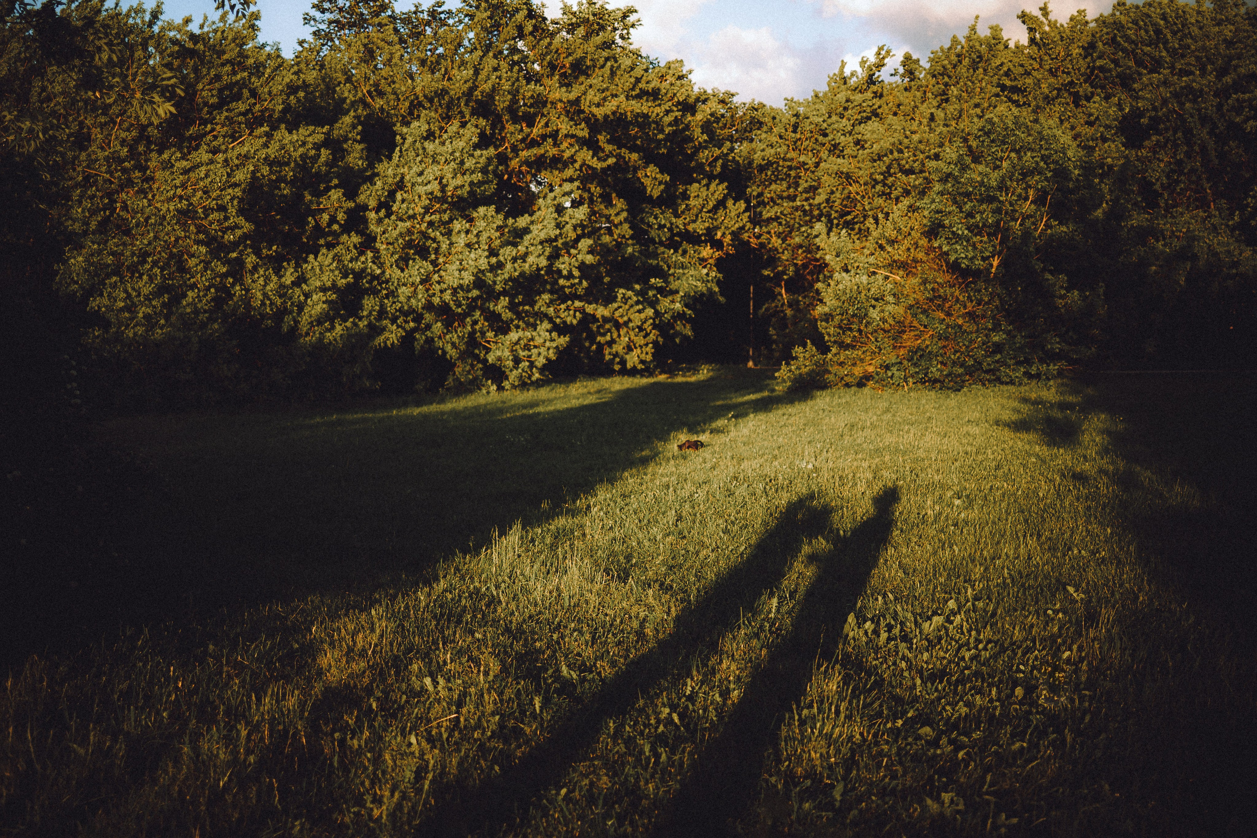 Вирджик и его семья