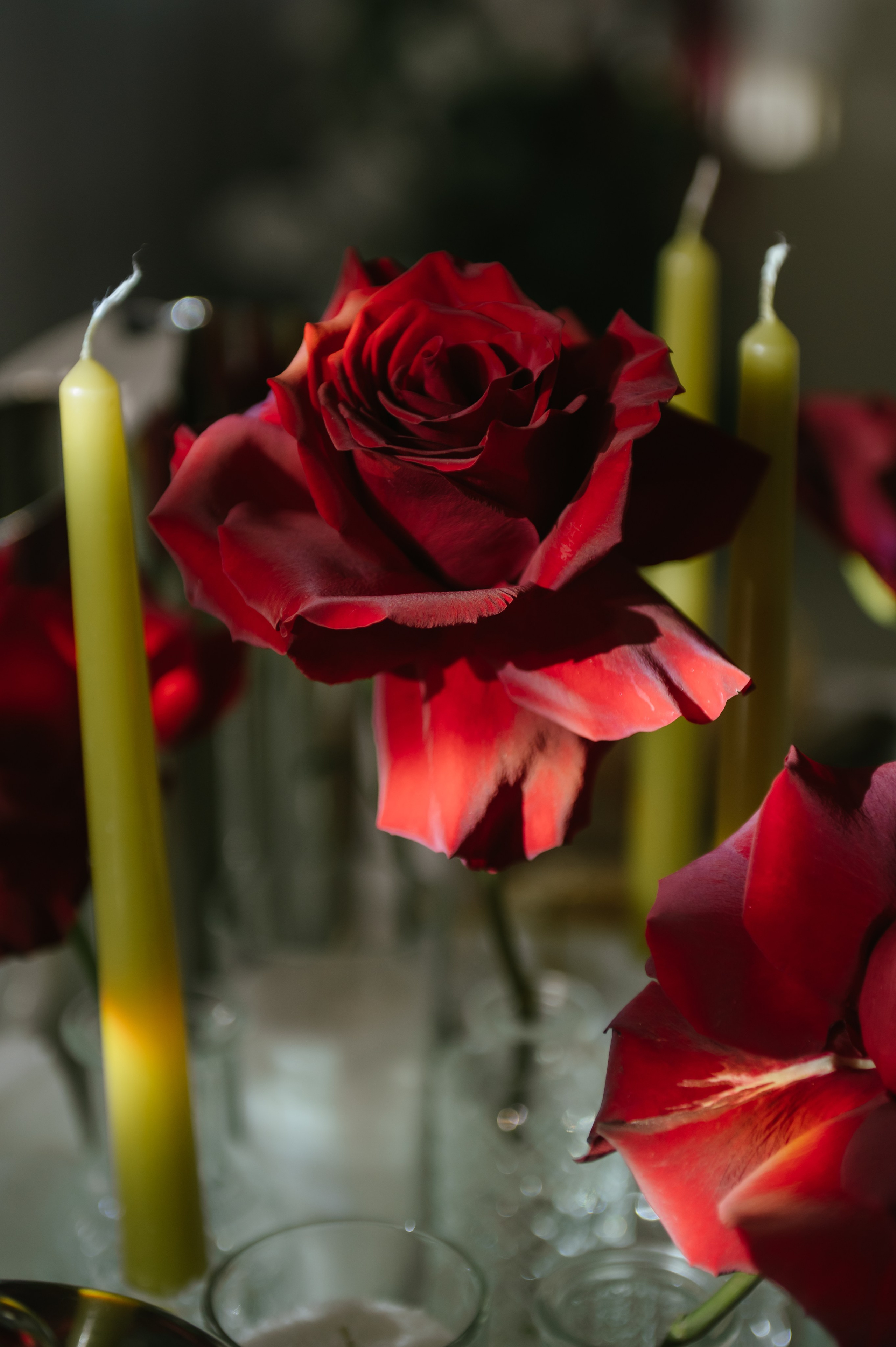 20.02.26. Свадебный, женский, семейный фотограф в Севастополе Юлия Мошенко