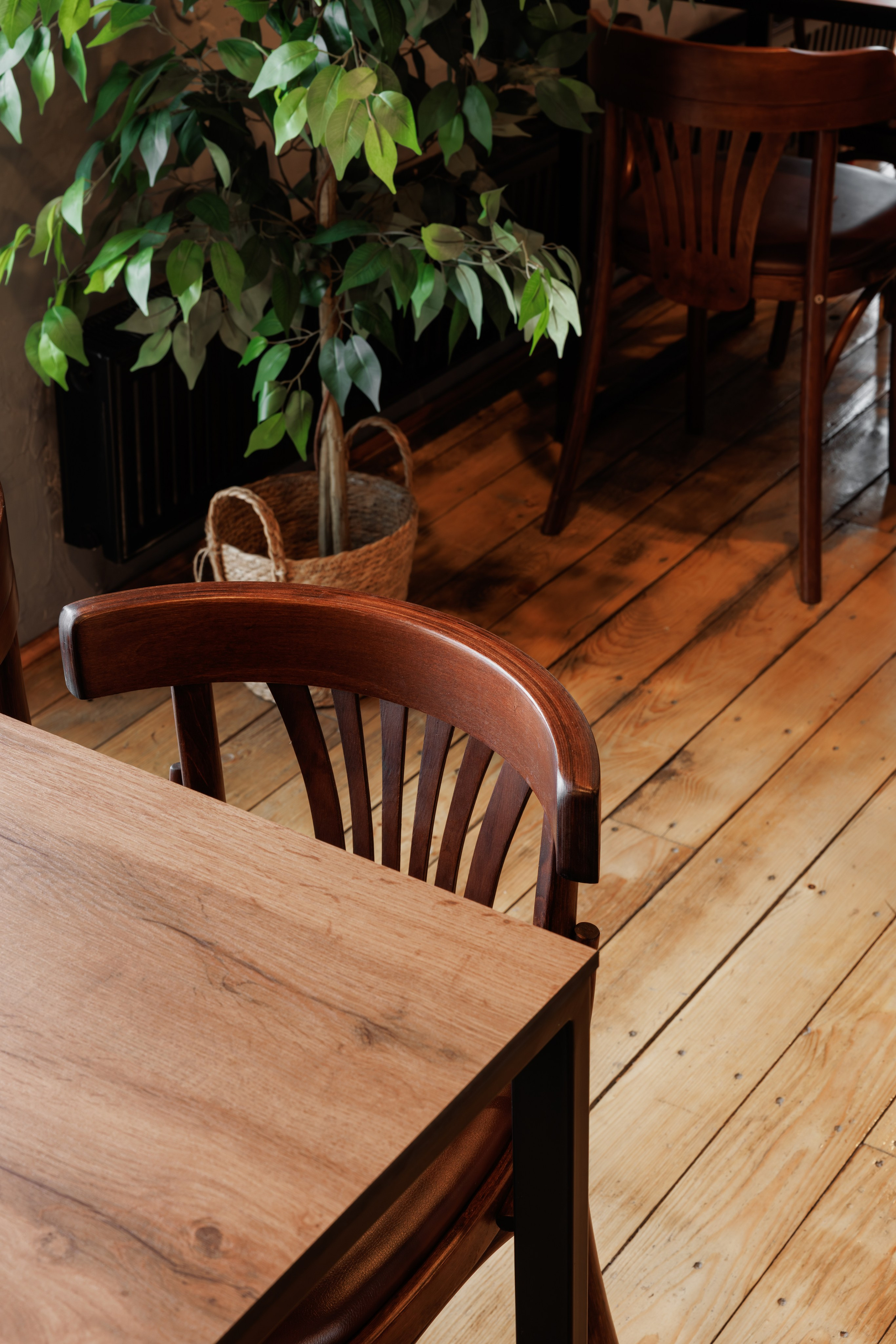 Ресторан «Карелла». Репортажный фотограф в Санкт-Петербурге Жолудев Владислав