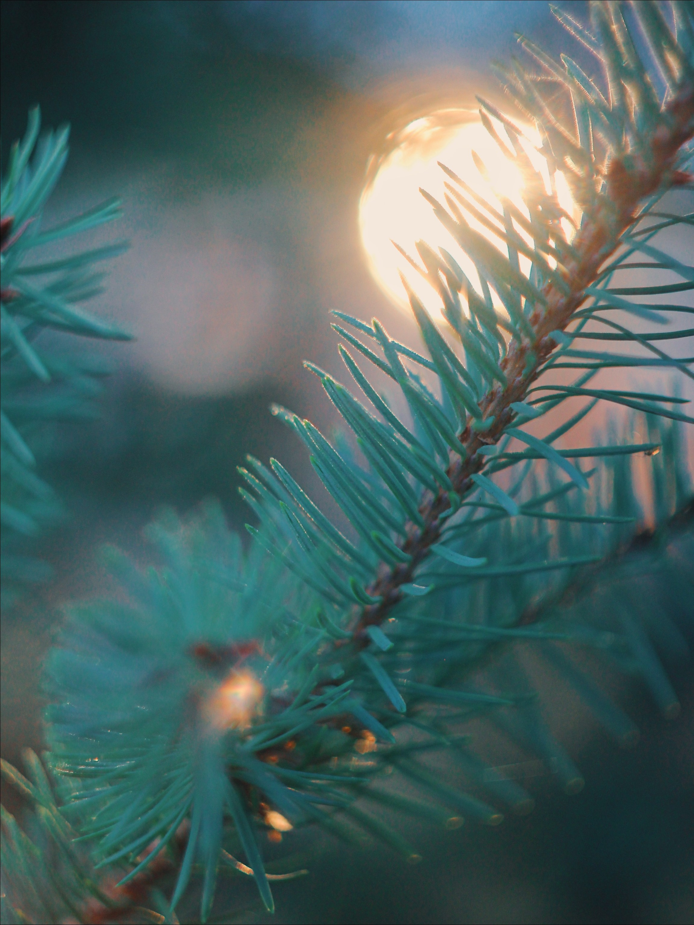 Эфемерность моментов. С любовью, фотохудожник