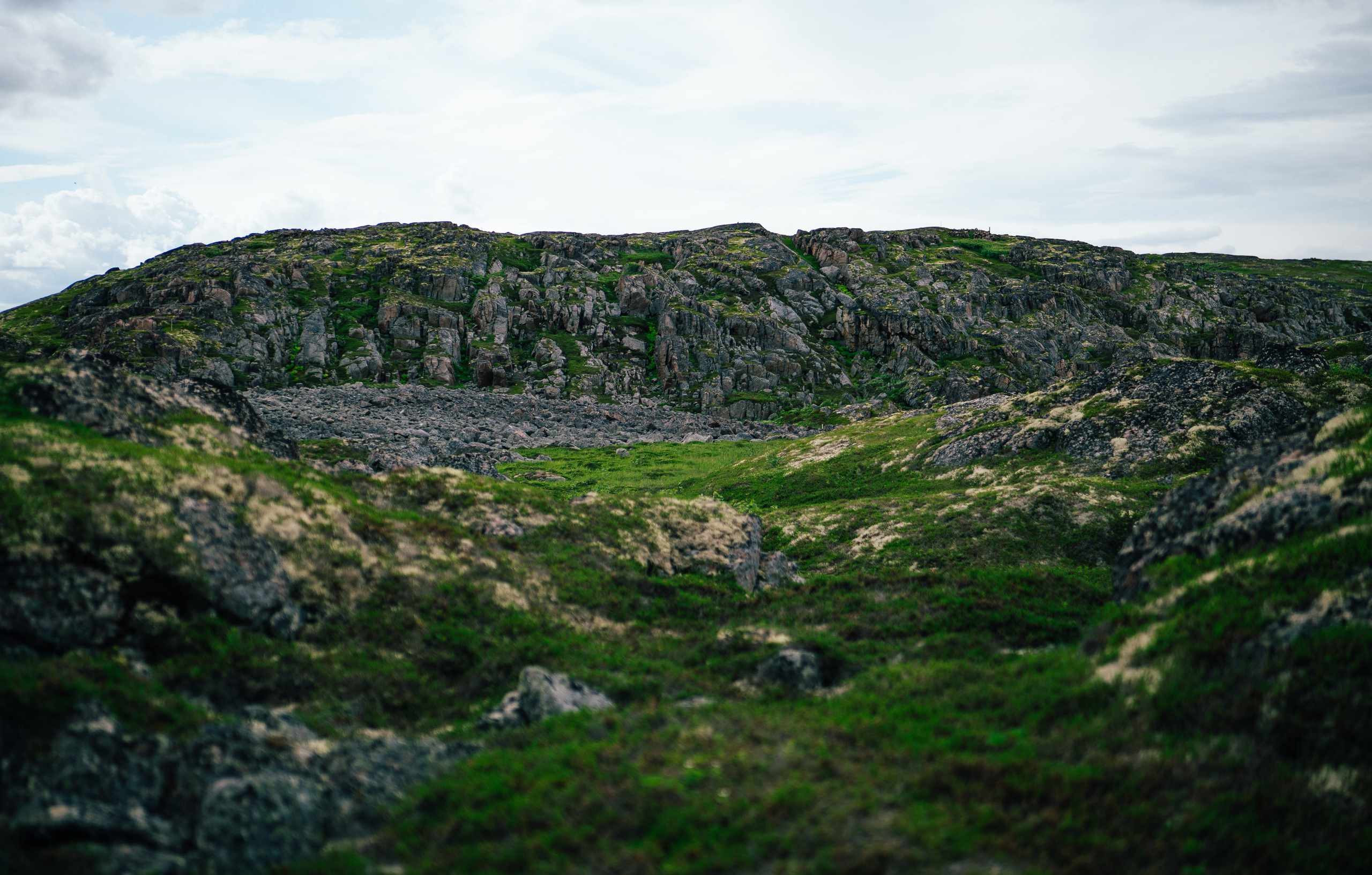 ТЕРИБЕРКА. Создание контента | Фото | Видеосъемка | Александр Ярков