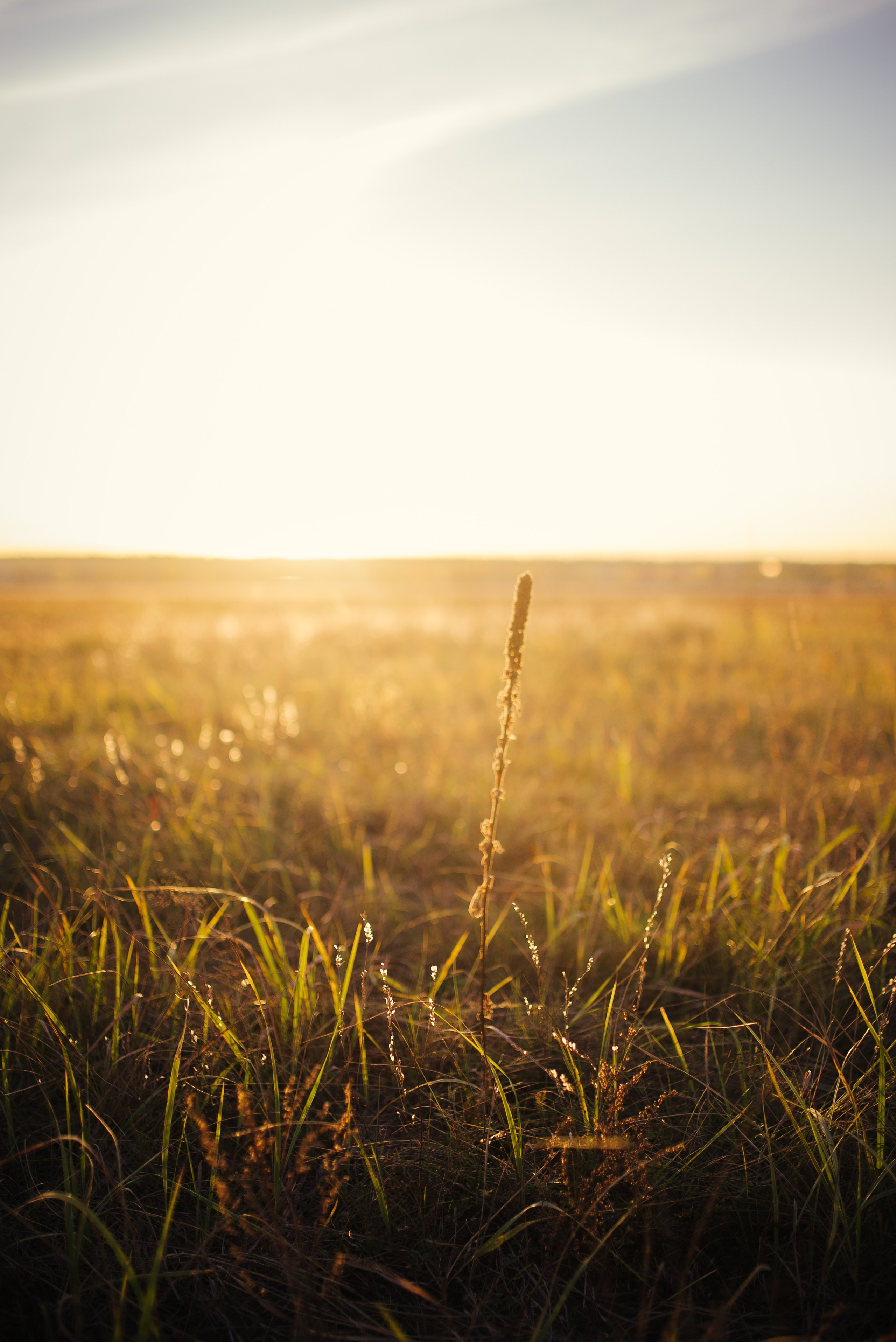 Встреча заката. Семейный и детский фотограф в Щелково Алена Дробот