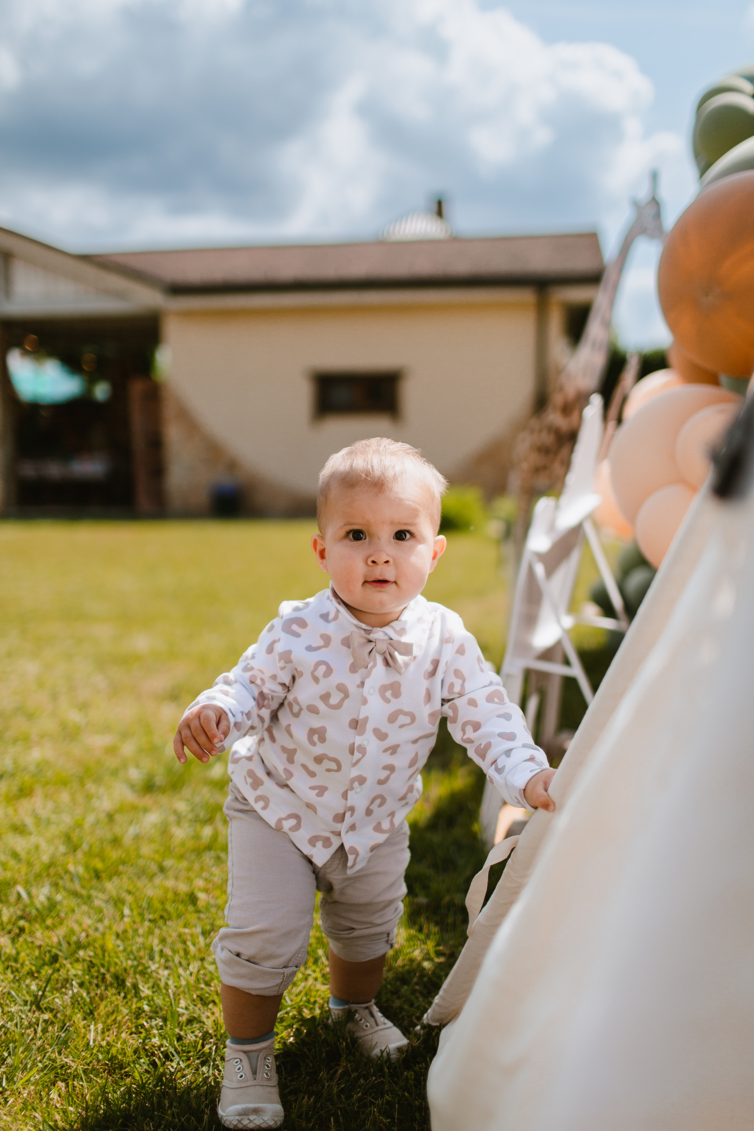 Лев 1 год. Фотограф и видеограф Мария Банщикова, Солнечногорск, Москва