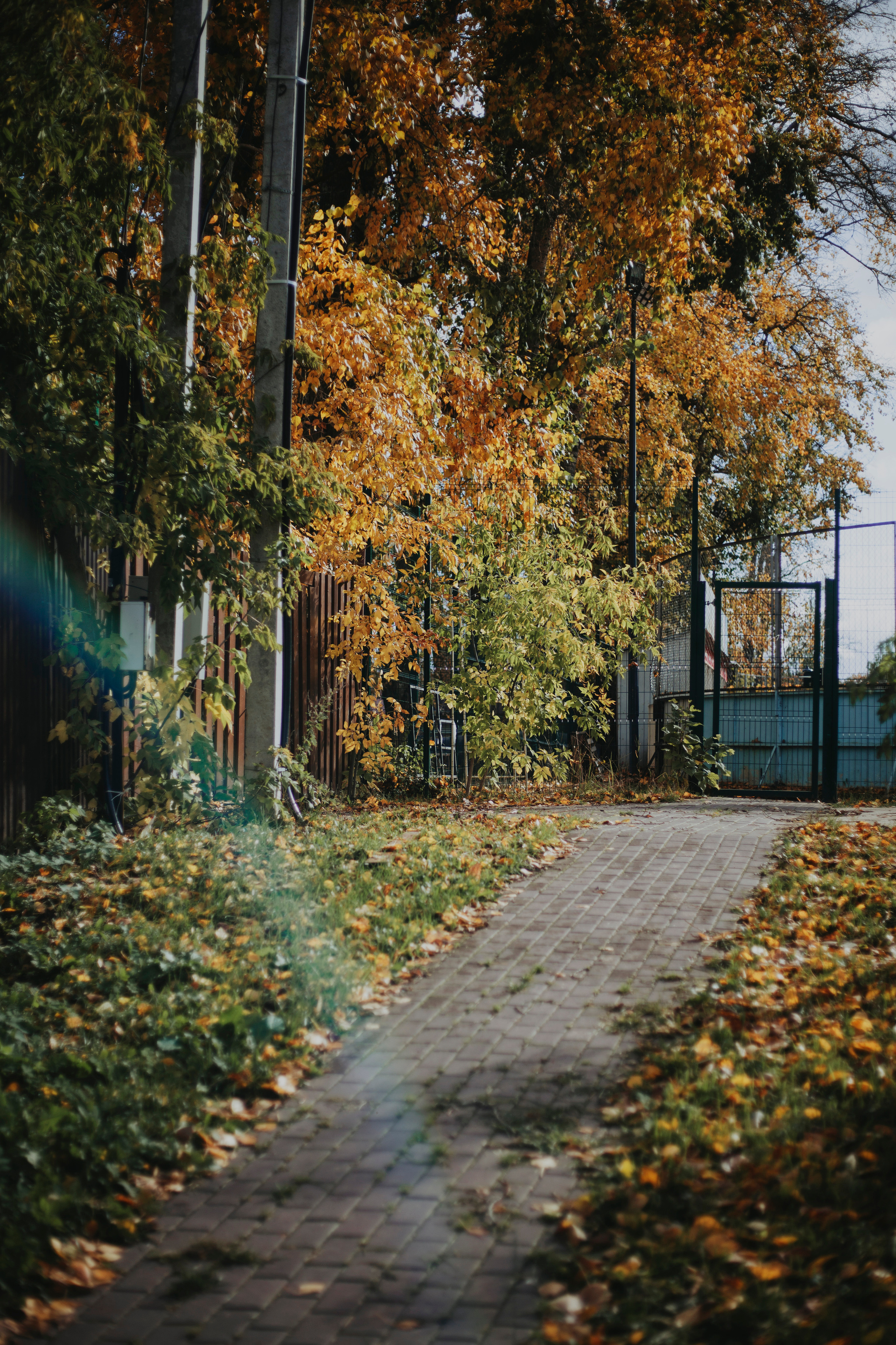 M&N. Фотограф и видеограф Мария Банщикова, Солнечногорск, Москва