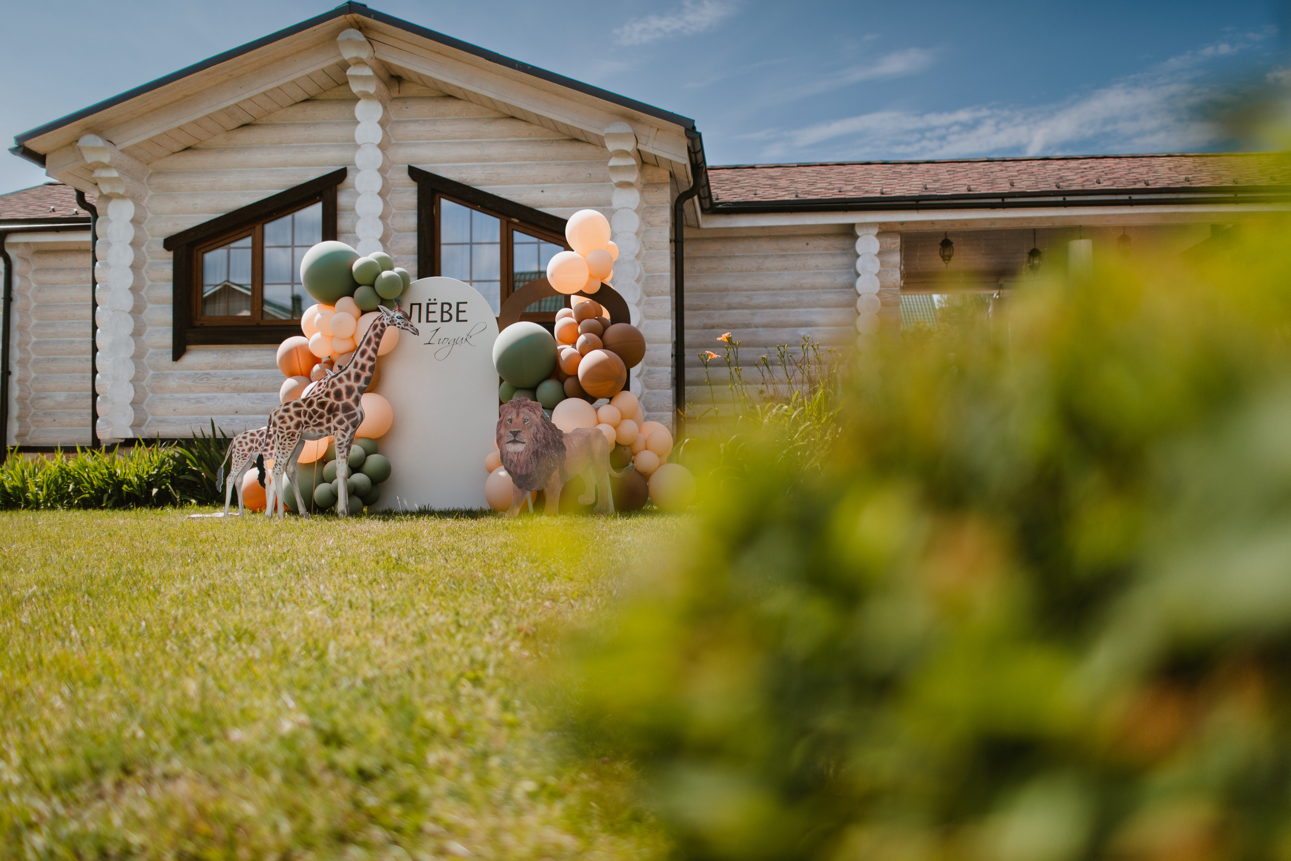Лев 1 год. Фотограф и видеограф Мария Банщикова, Солнечногорск, Москва